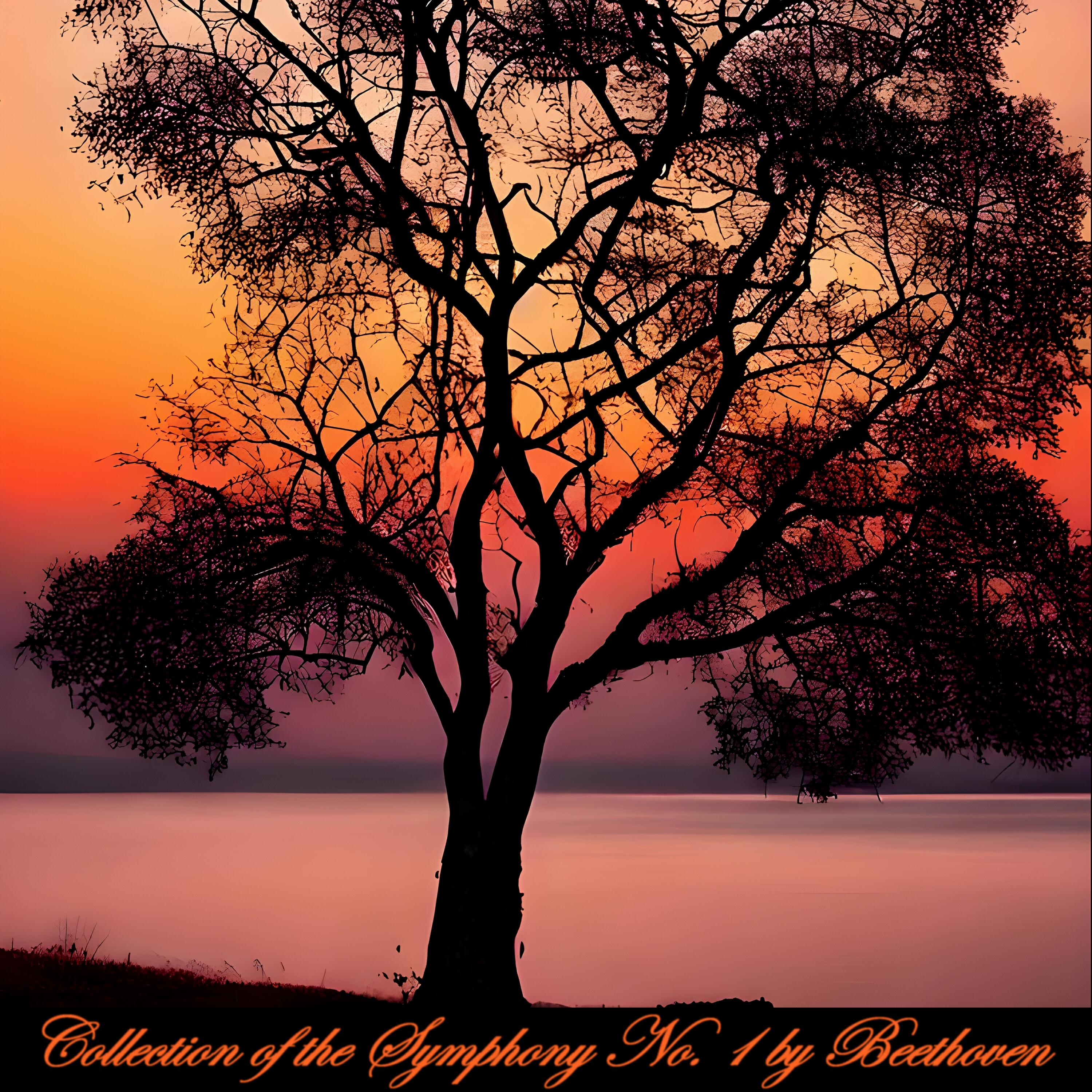 Релиз Collection of the Symphony No. 1 by Beethoven