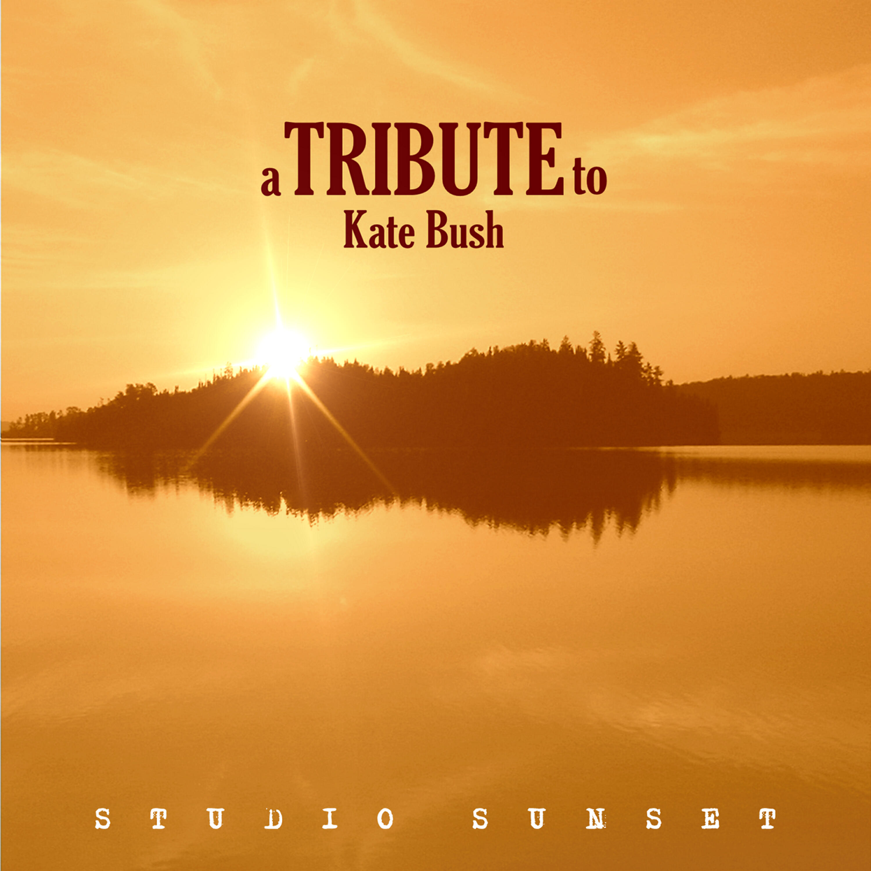 Релиз A Tribute to Kate Bush