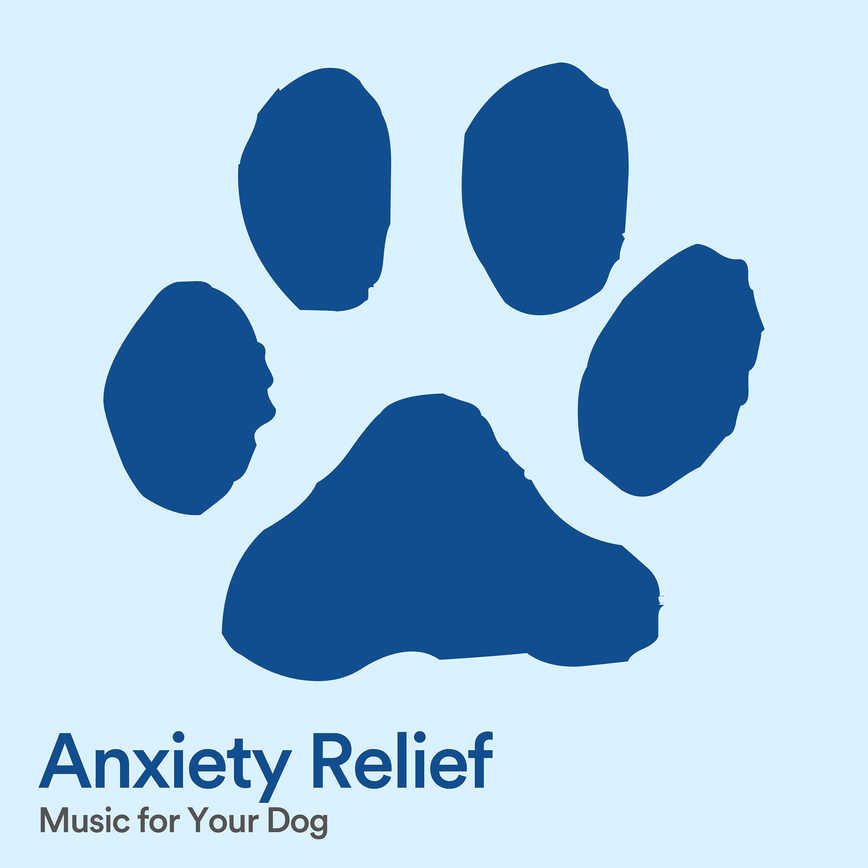 Релиз Anxiety Relief Music for Your Dog