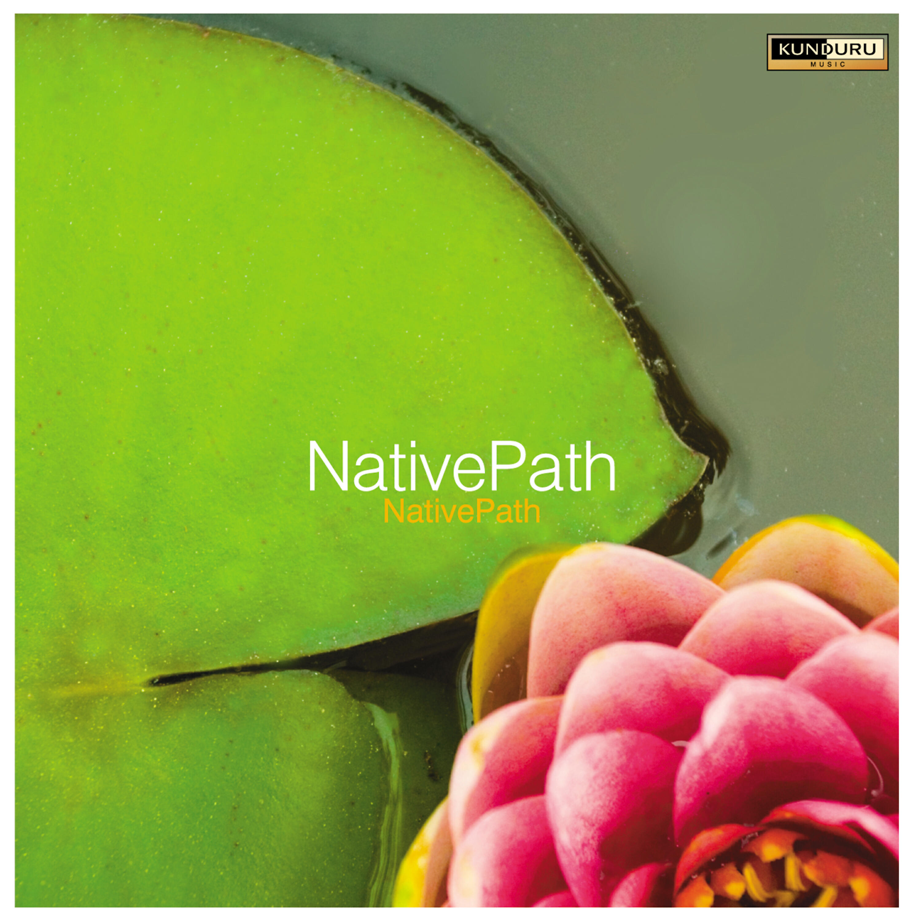 Релиз Native Path Vol. 1