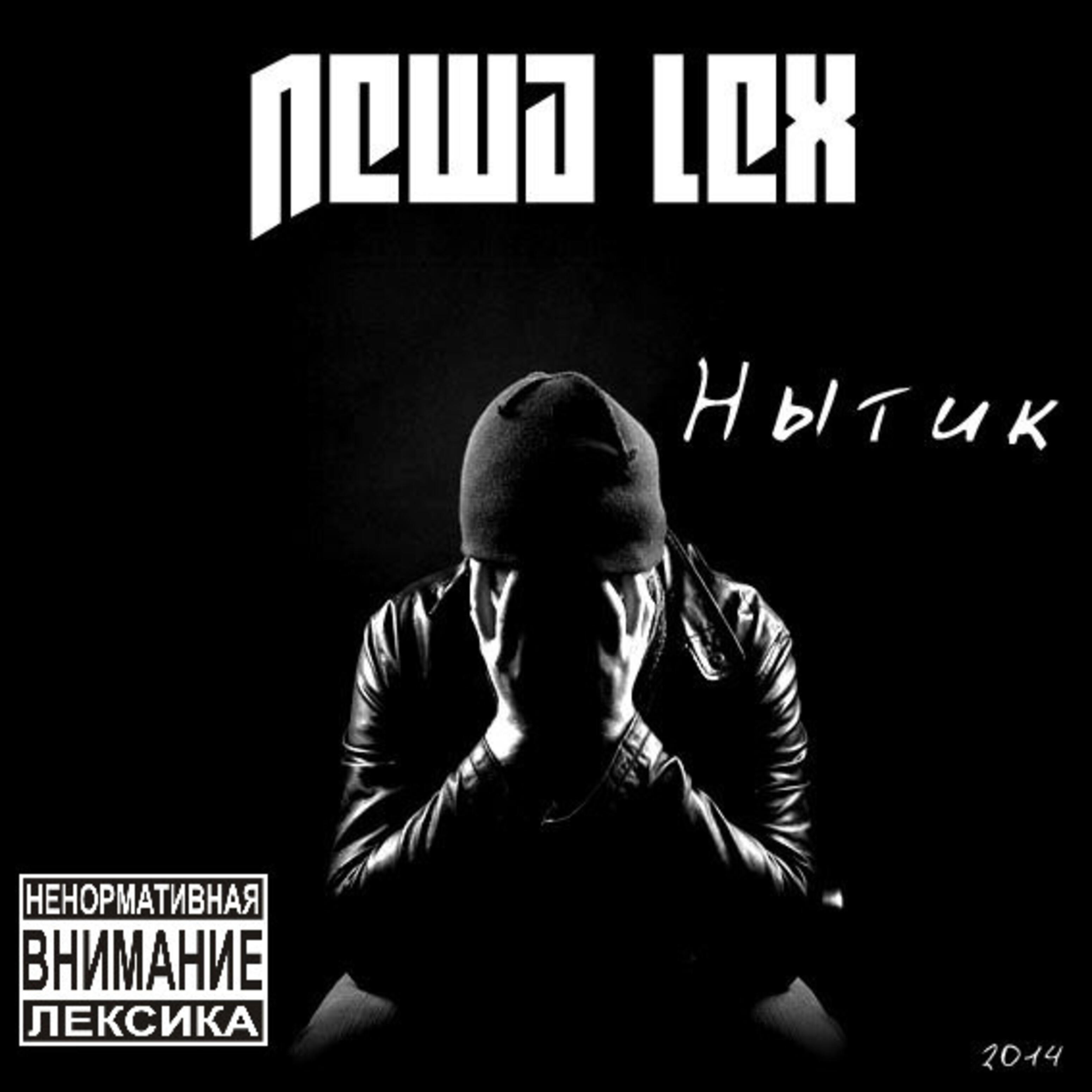 Постер альбома Нытик 2014