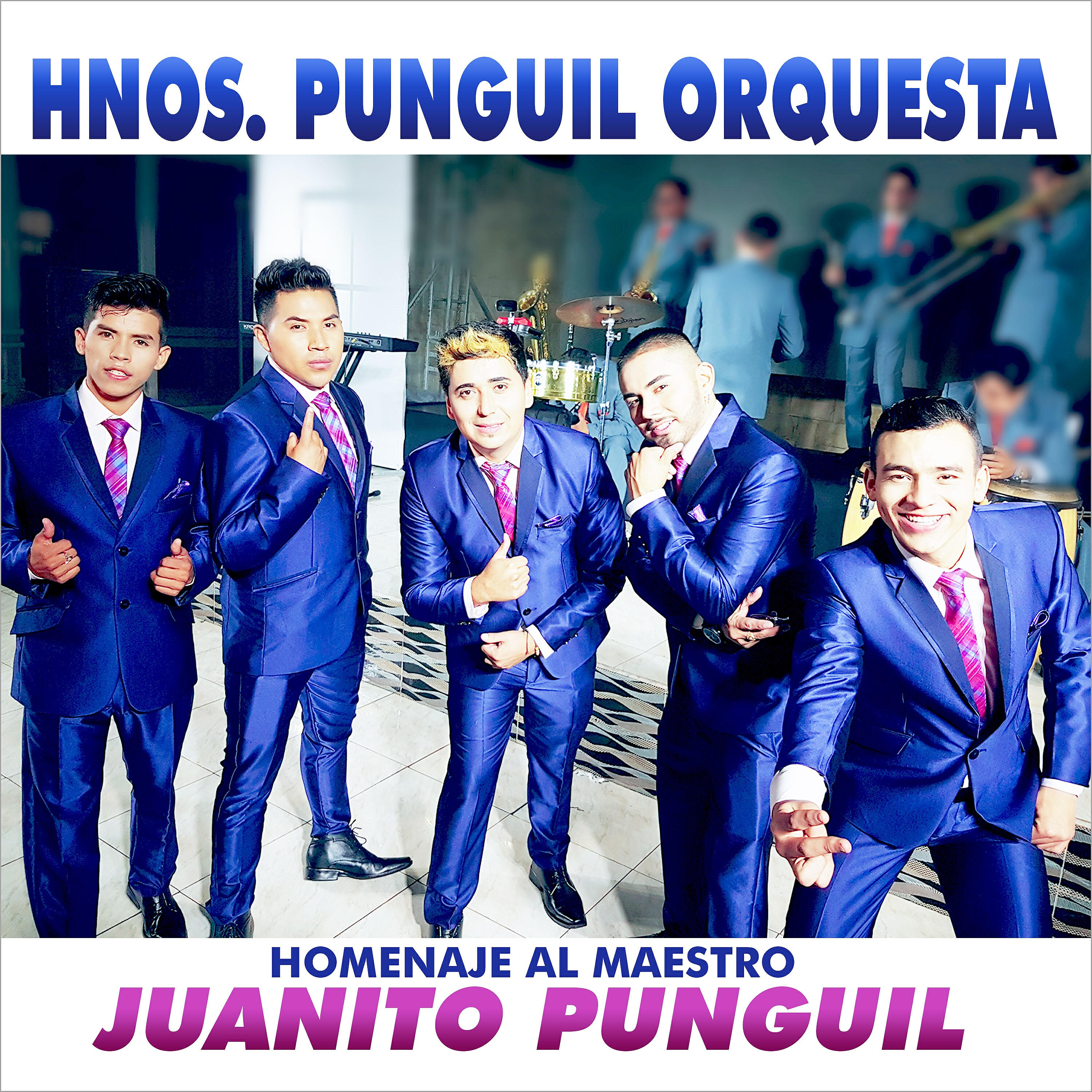 Hnos. Punguil Orquesta