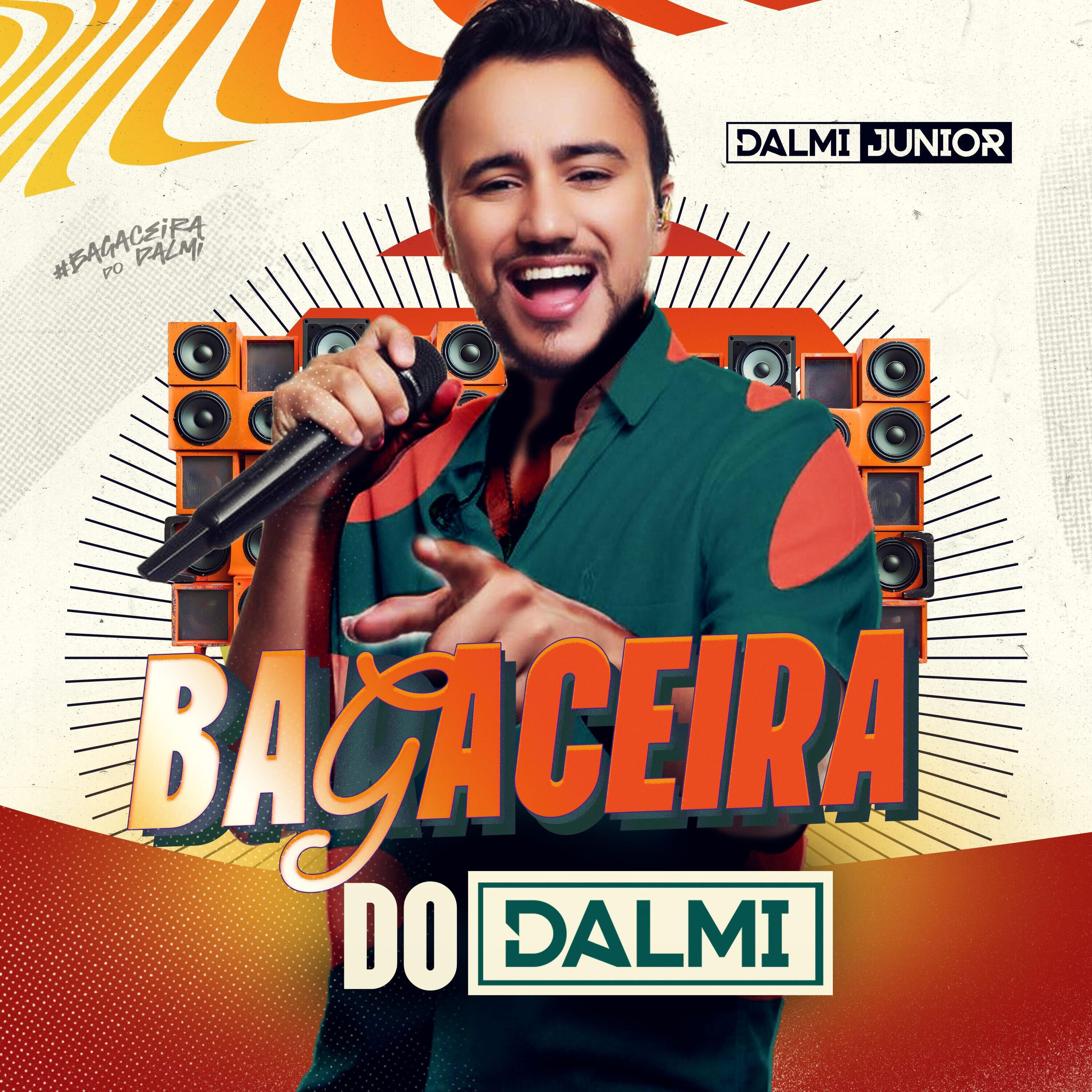 Релиз Bagaceira do Dalmi (Ao Vivo)