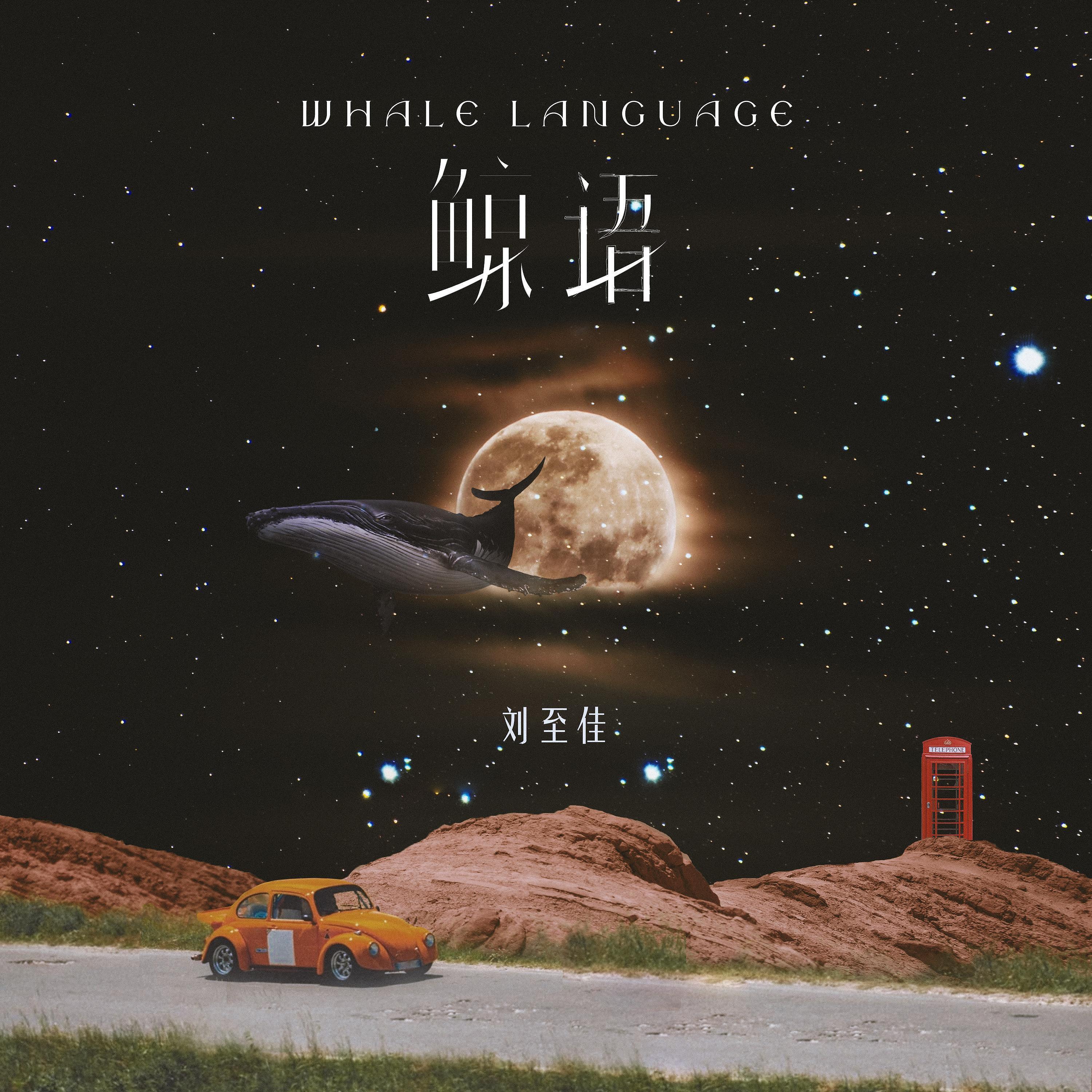 Релиз 鲸语