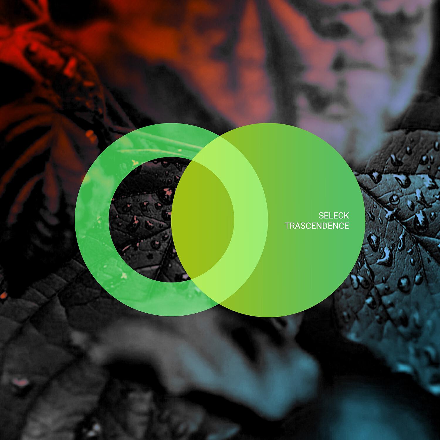 Релиз Trascendence