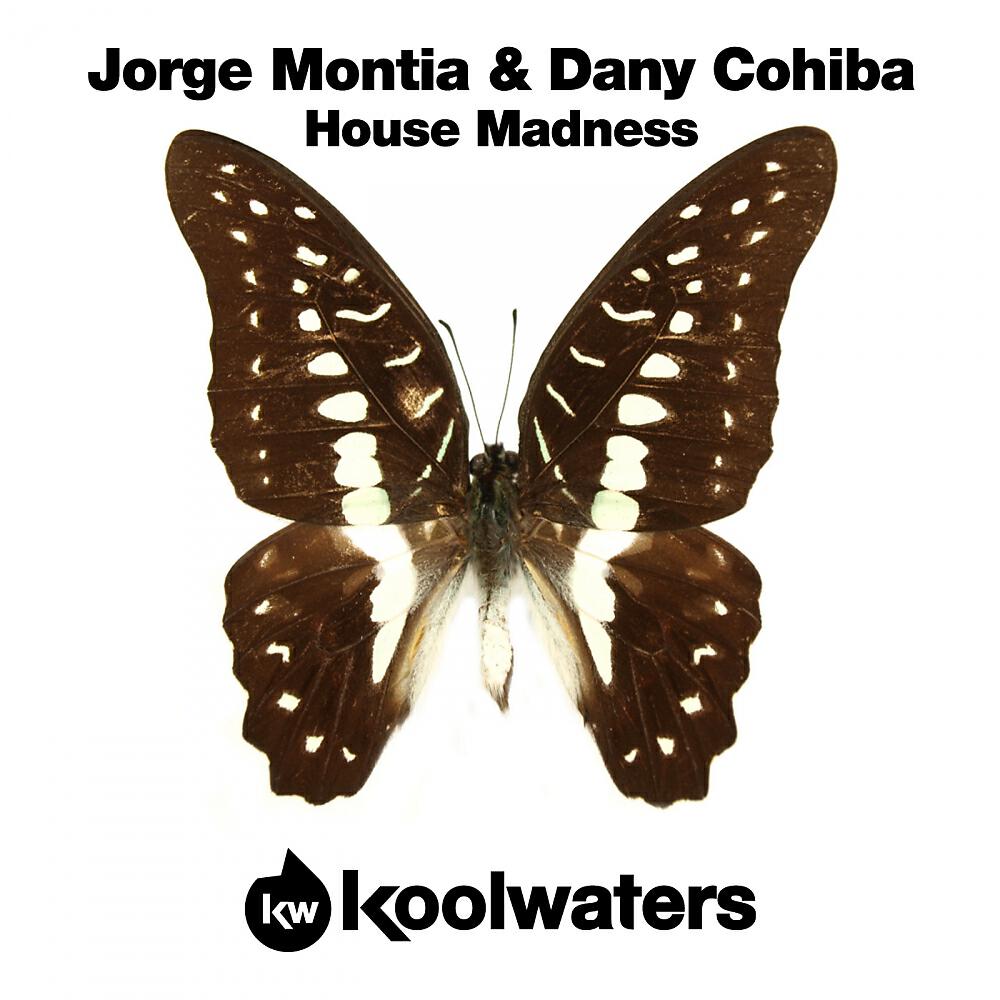 Релиз House Madness