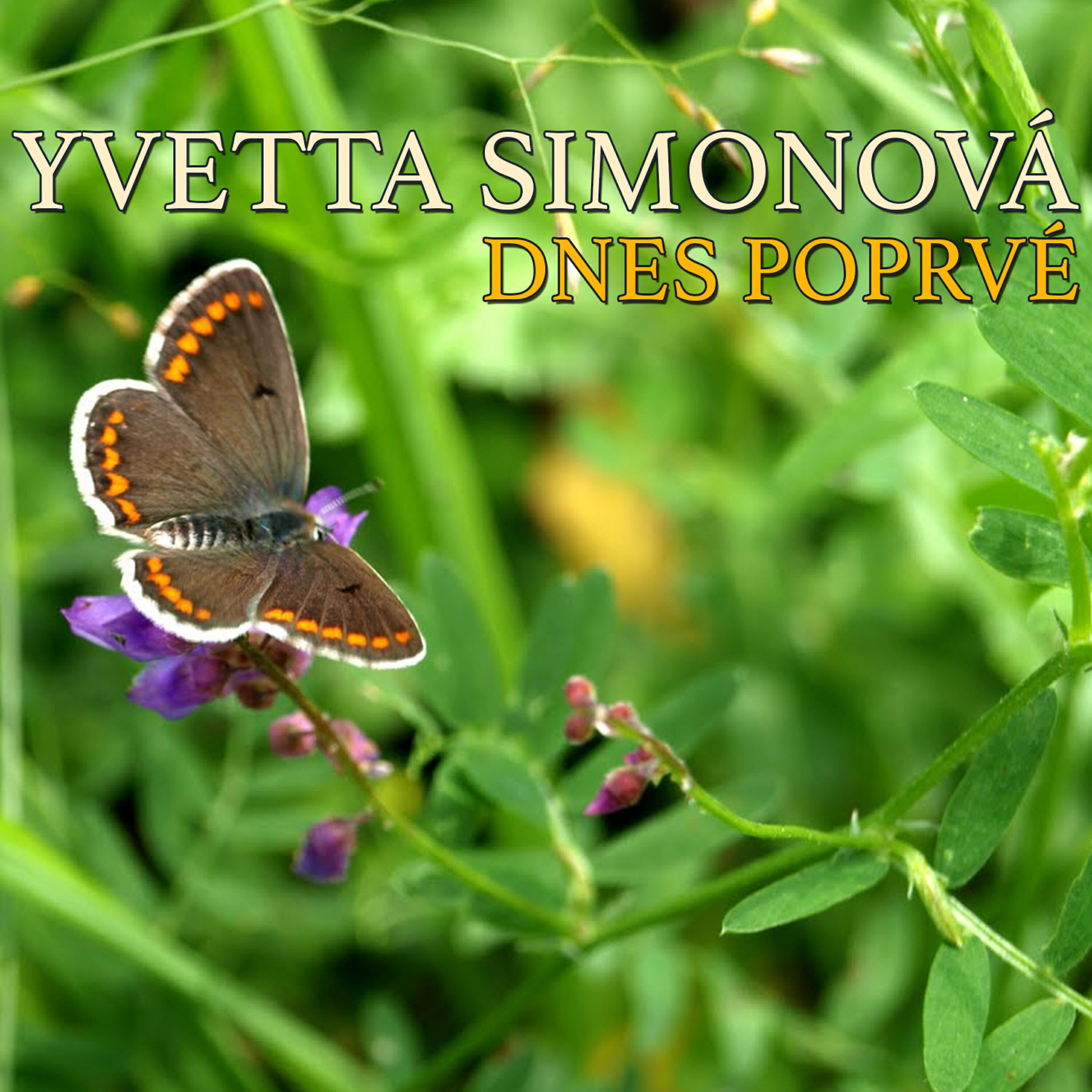 Релиз Dnes Poprvé