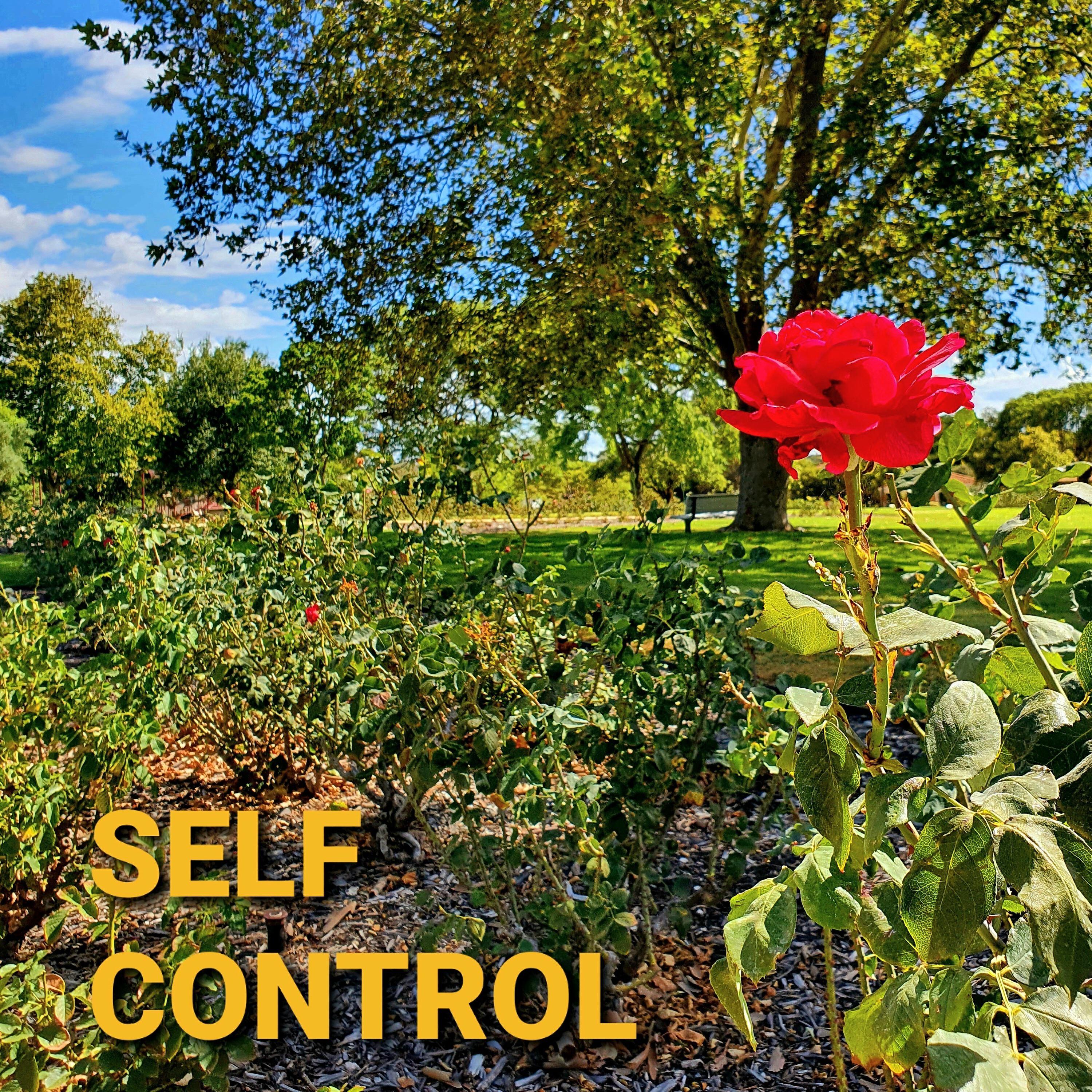 Релиз Self Control
