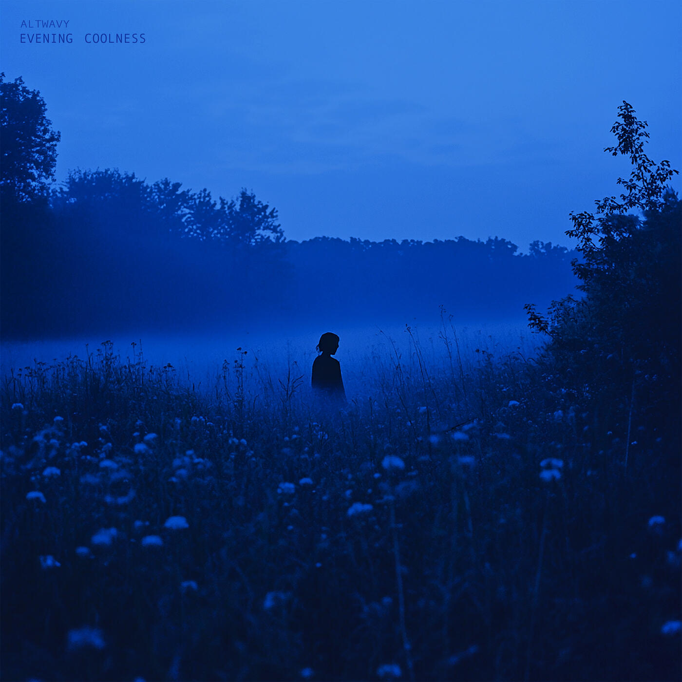 Релиз Evening Coolness