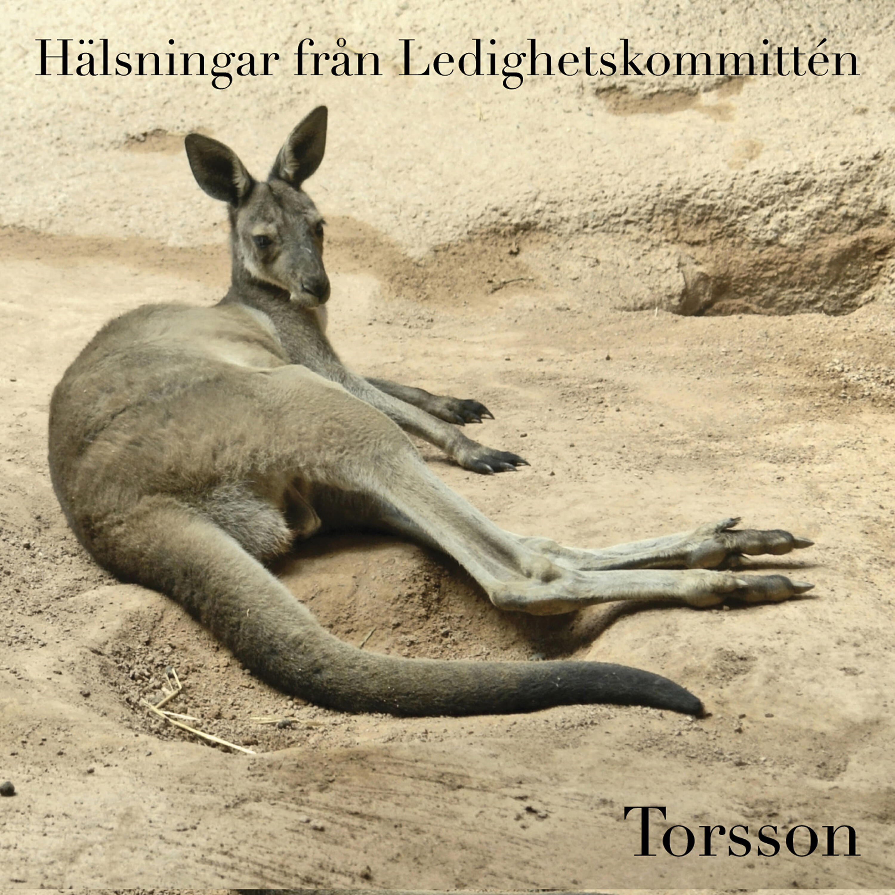 Релиз Hälsningar Från Ledighetskommittén
