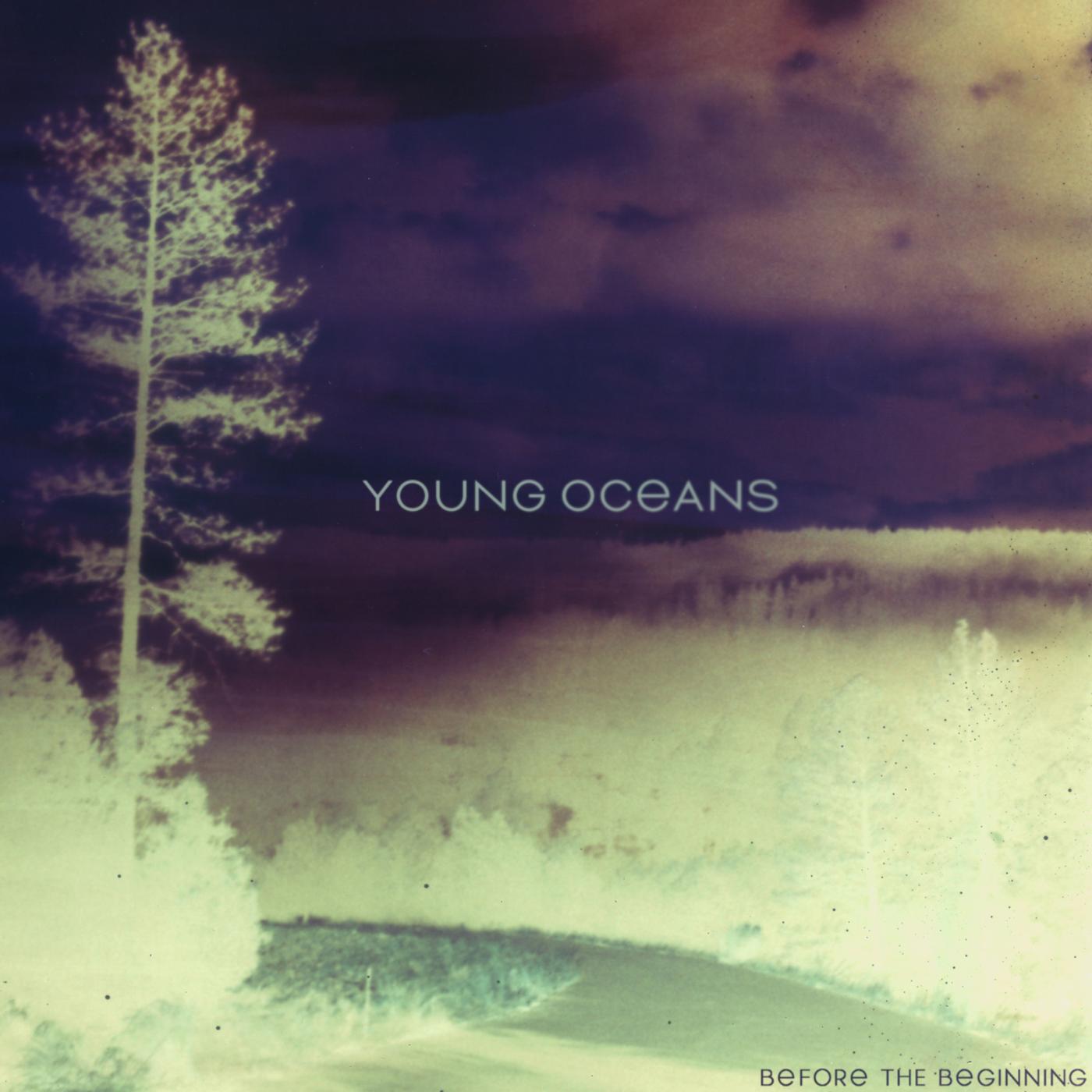 Релиз Before the Beginning (Instrumentals)