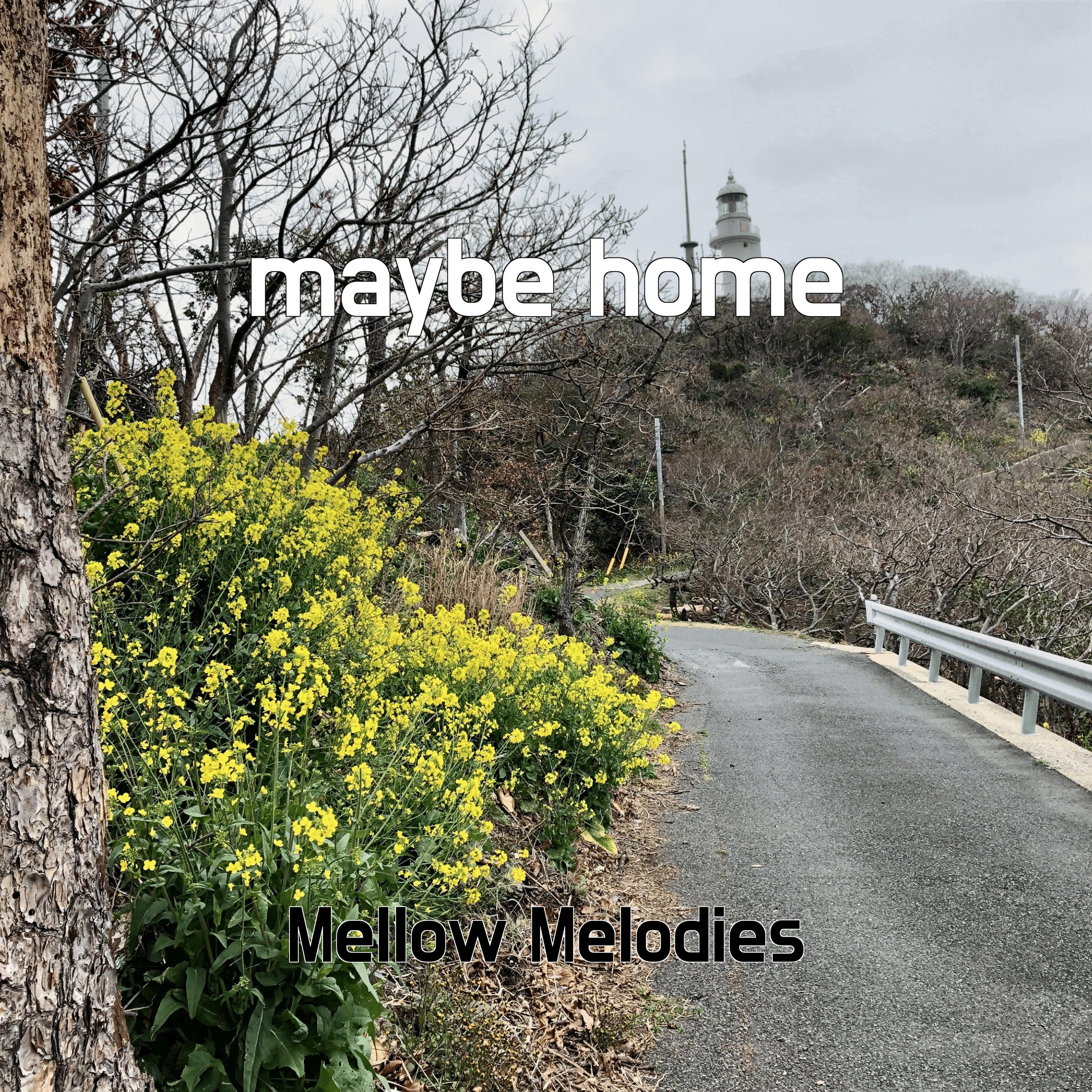Релиз maybe home