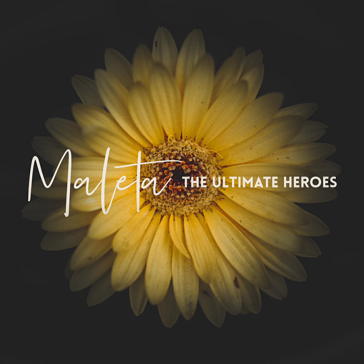 Релиз Maleta