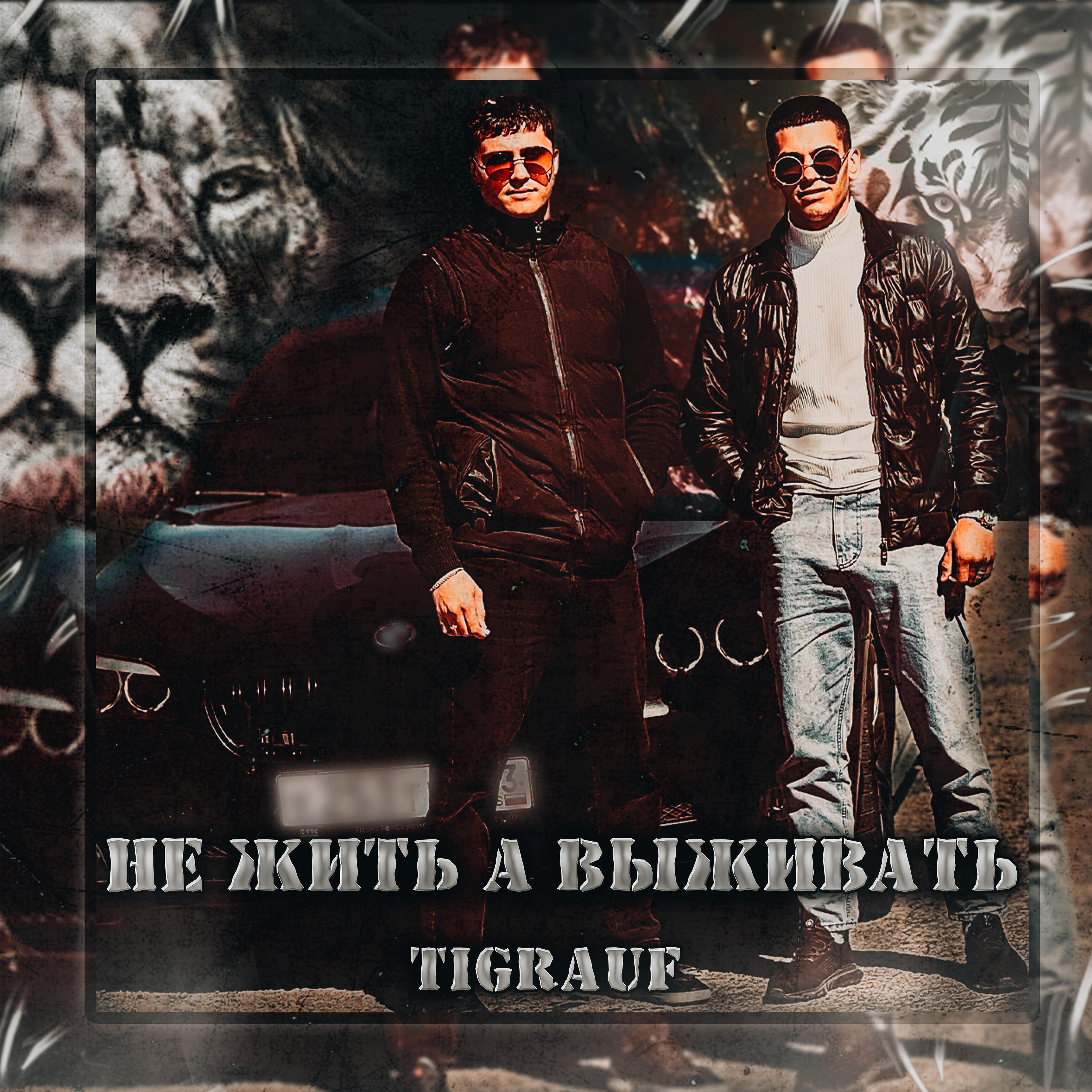 Tigrauf