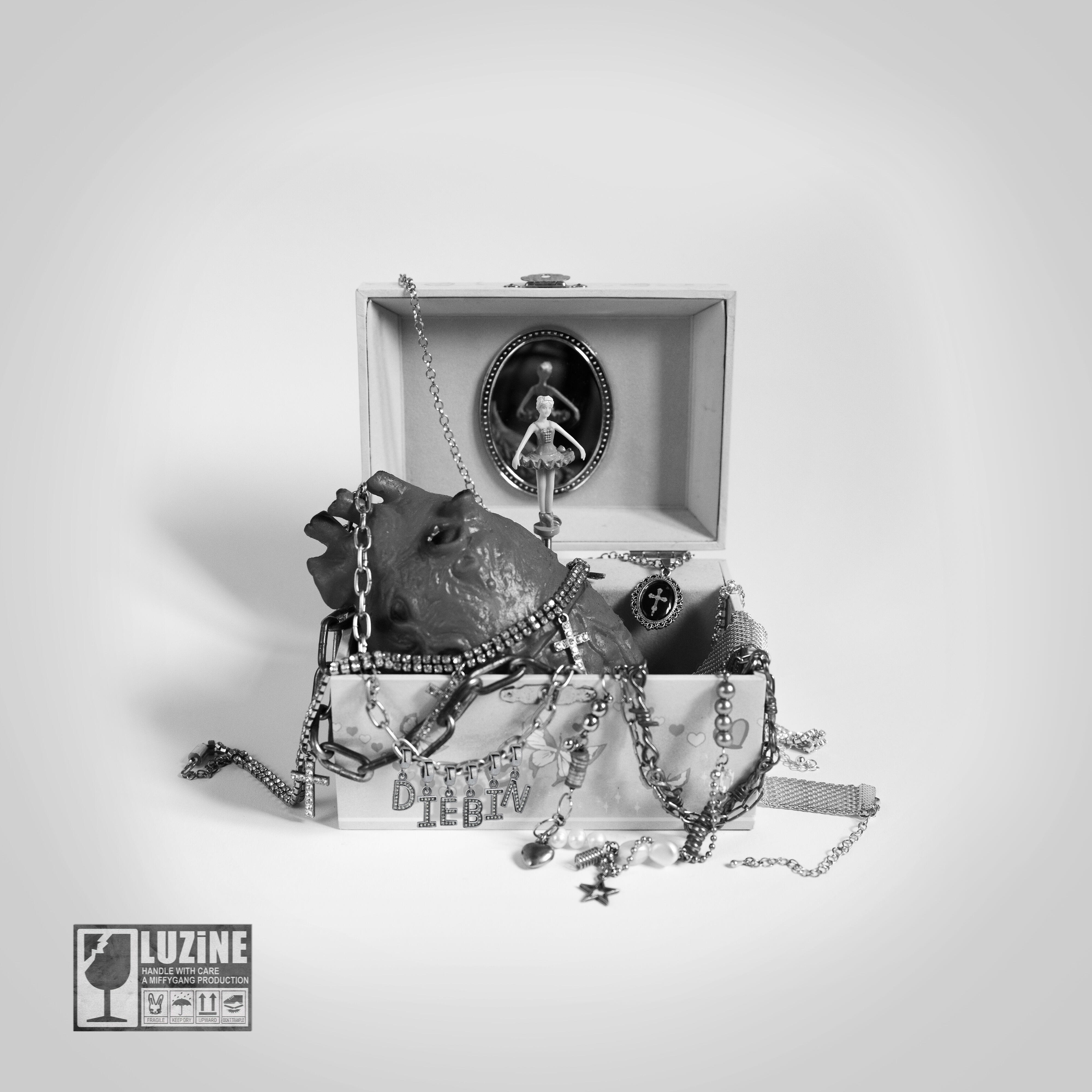 Релиз DiEBiN