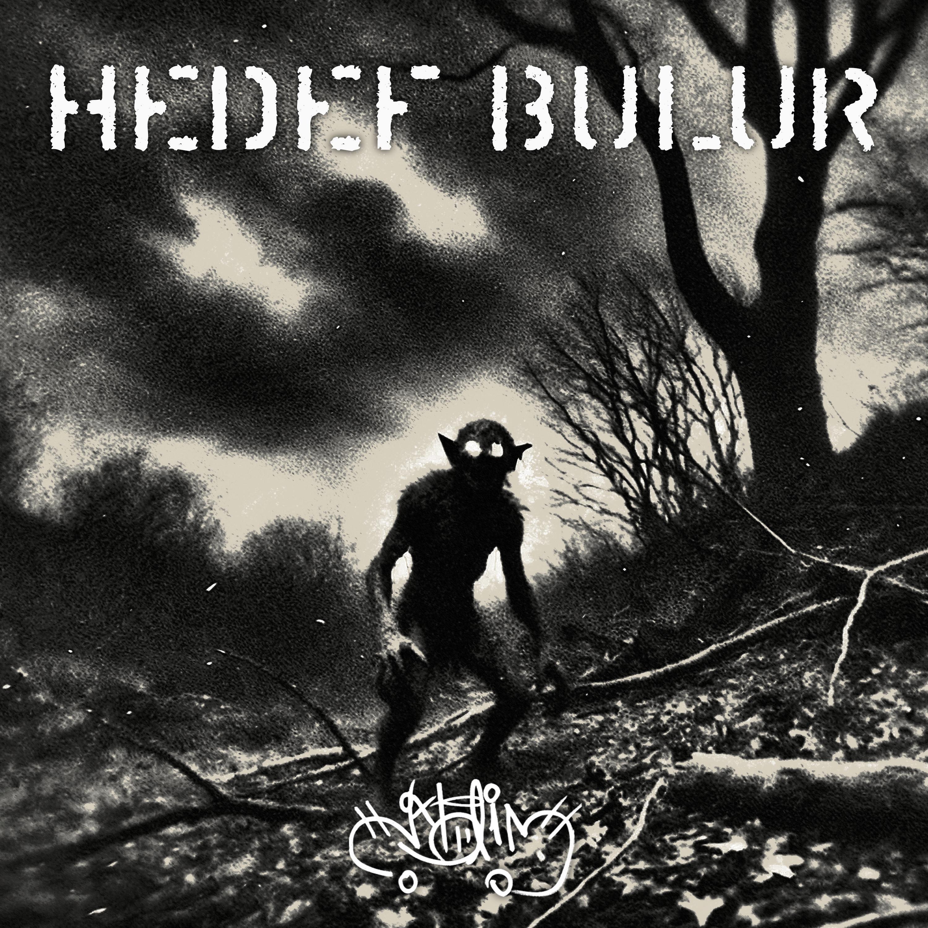 Релиз HEDEF BULUR