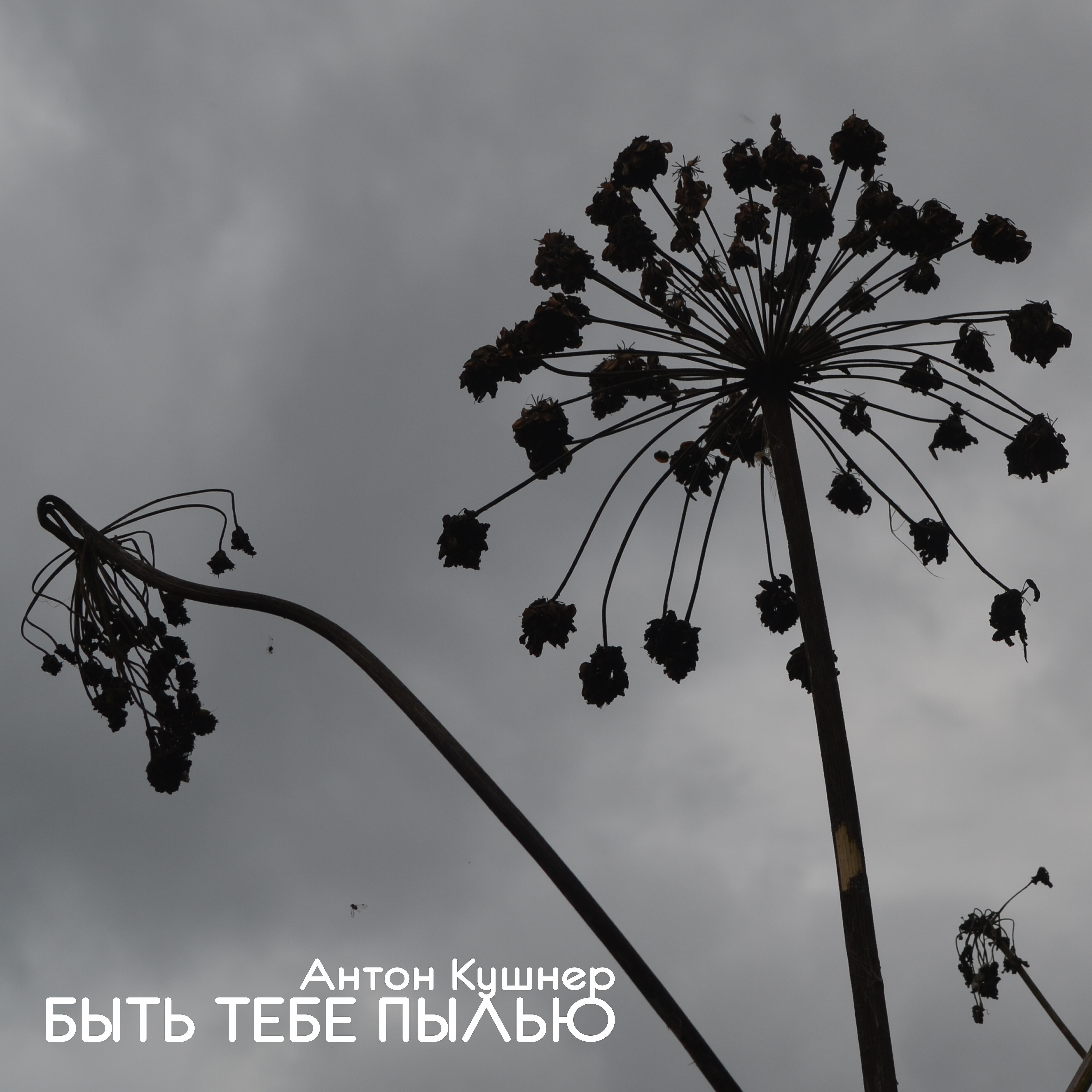 Релиз Быть тебе пылью