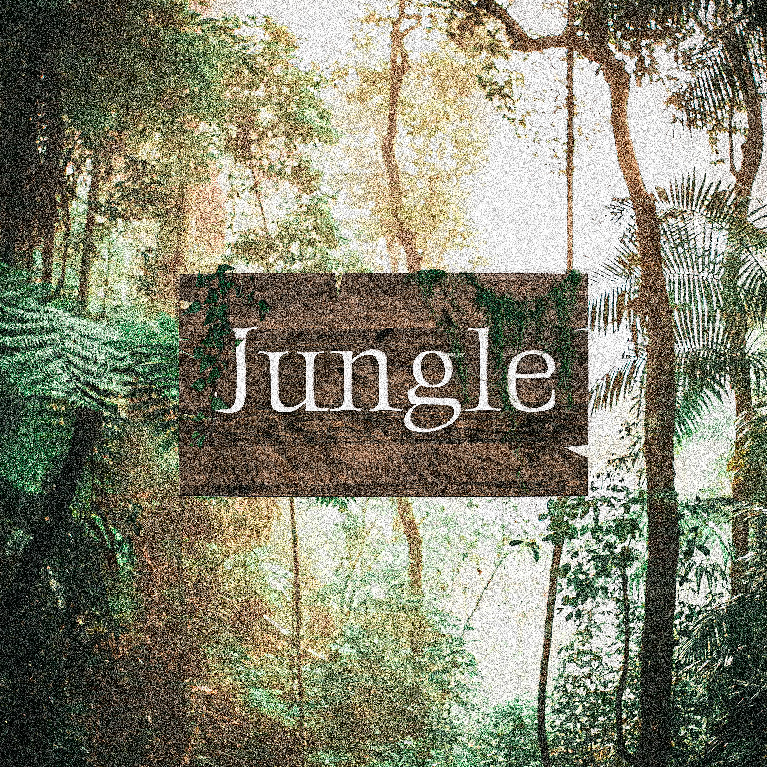 Релиз Jungle