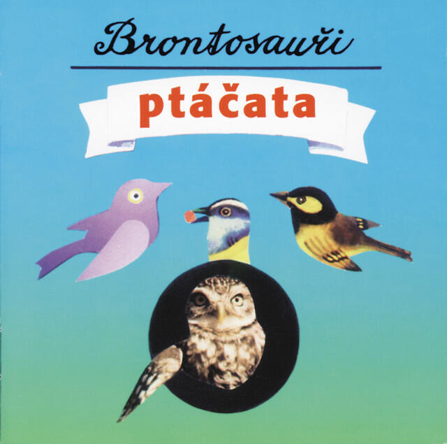 Релиз Ptacata