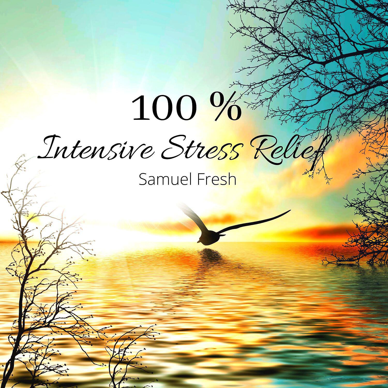 Релиз 100 % Intensive Stress Relief