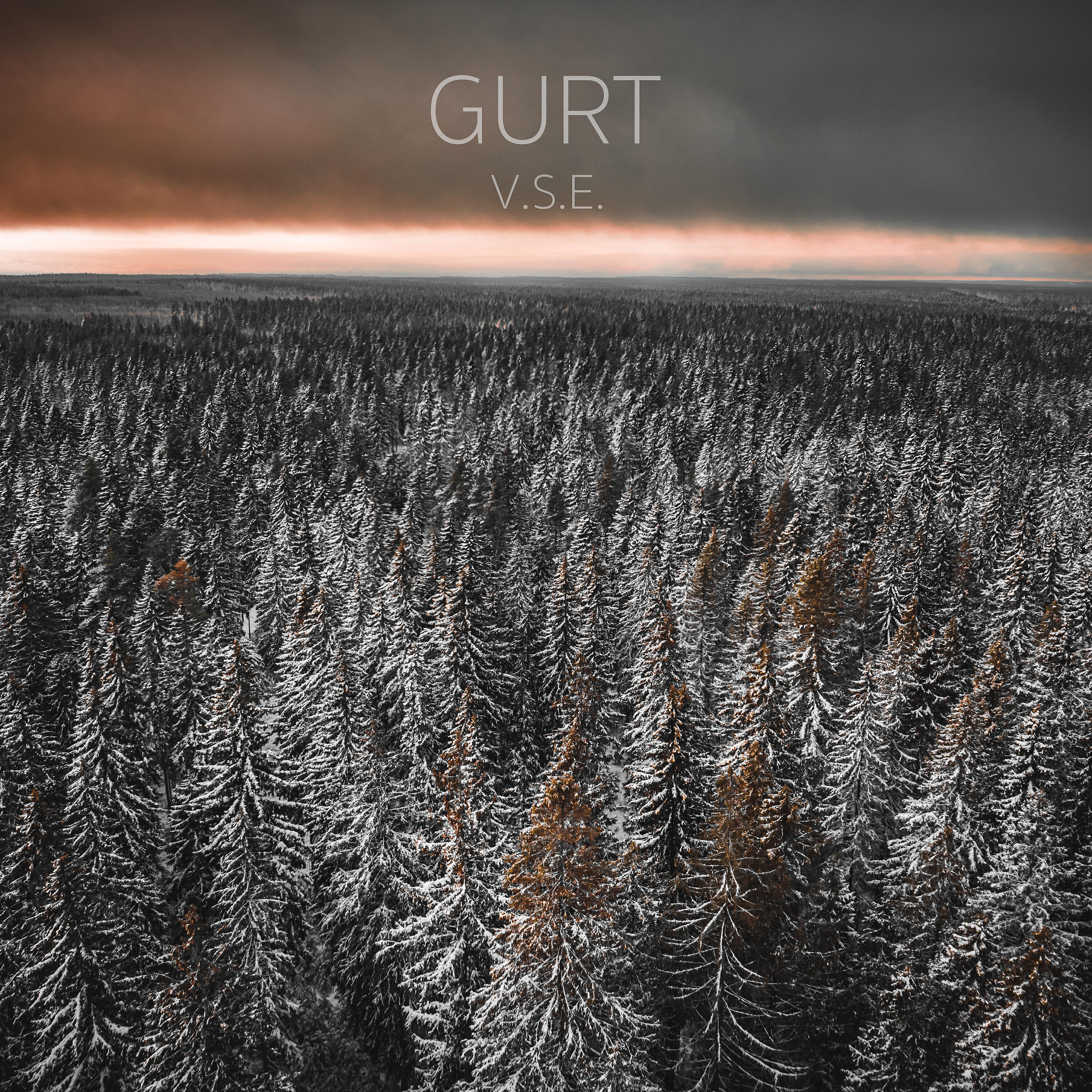 Релиз V.s.e.