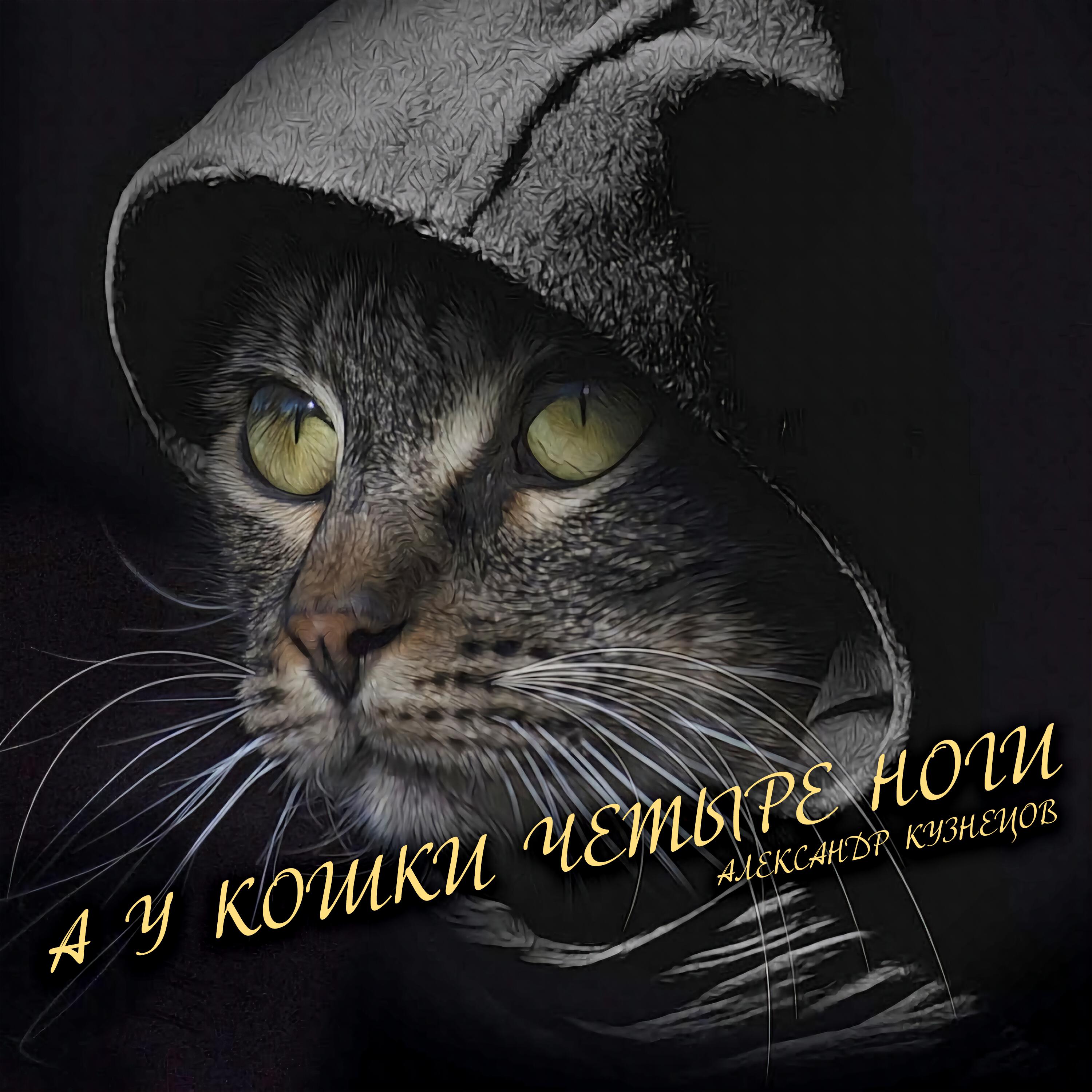 Релиз А у кошки четыре ноги