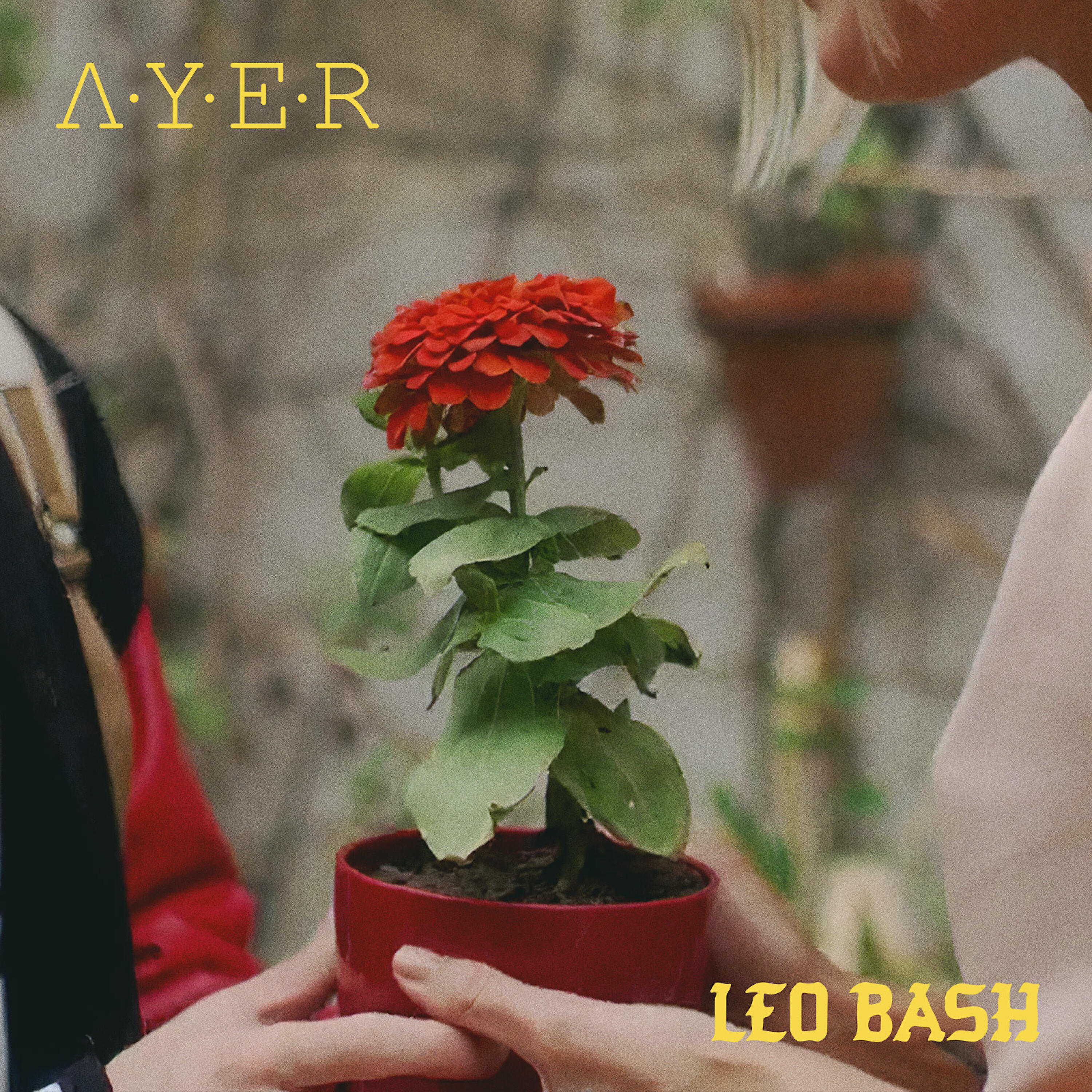 Релиз Ayer