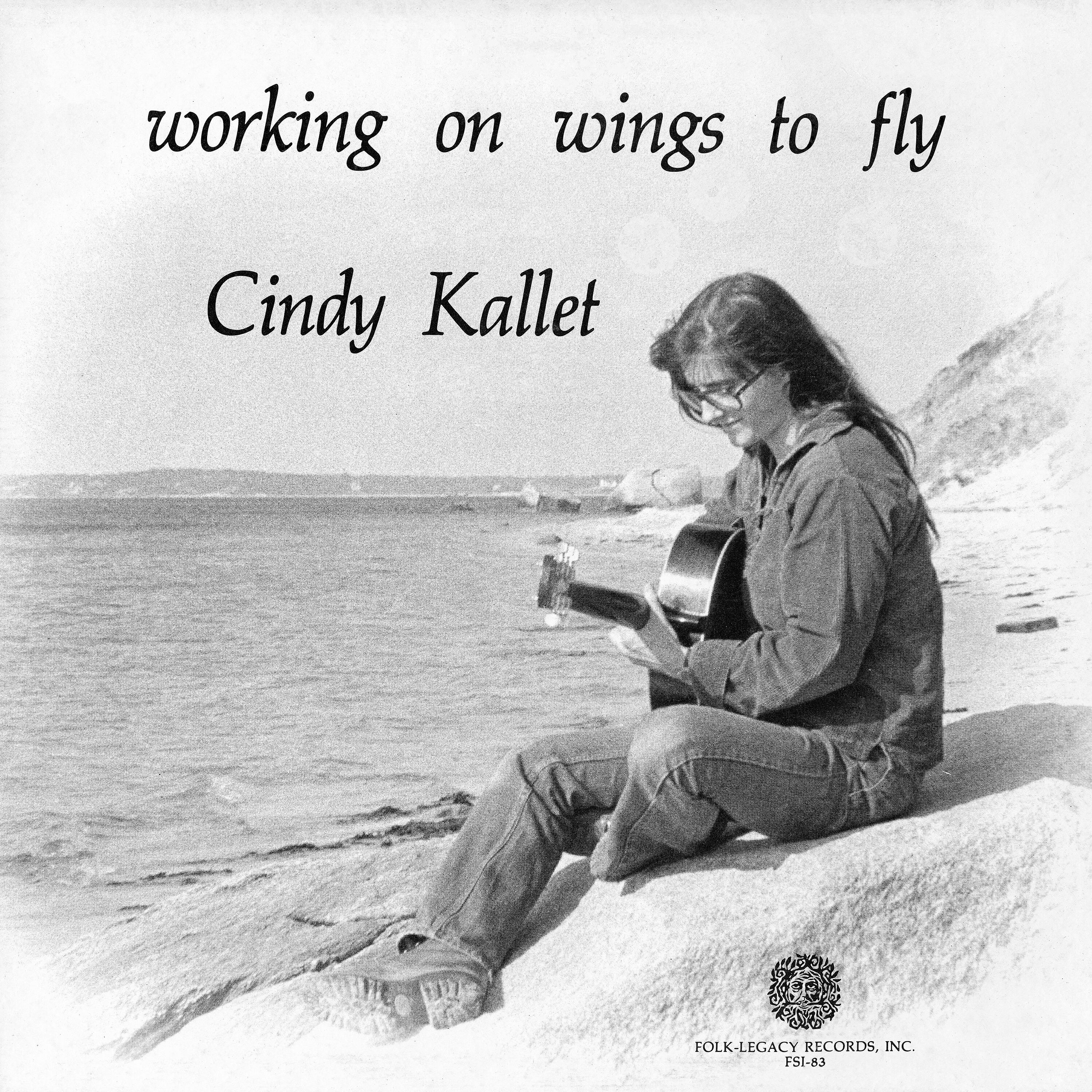 Релиз Working on Wings to Fly