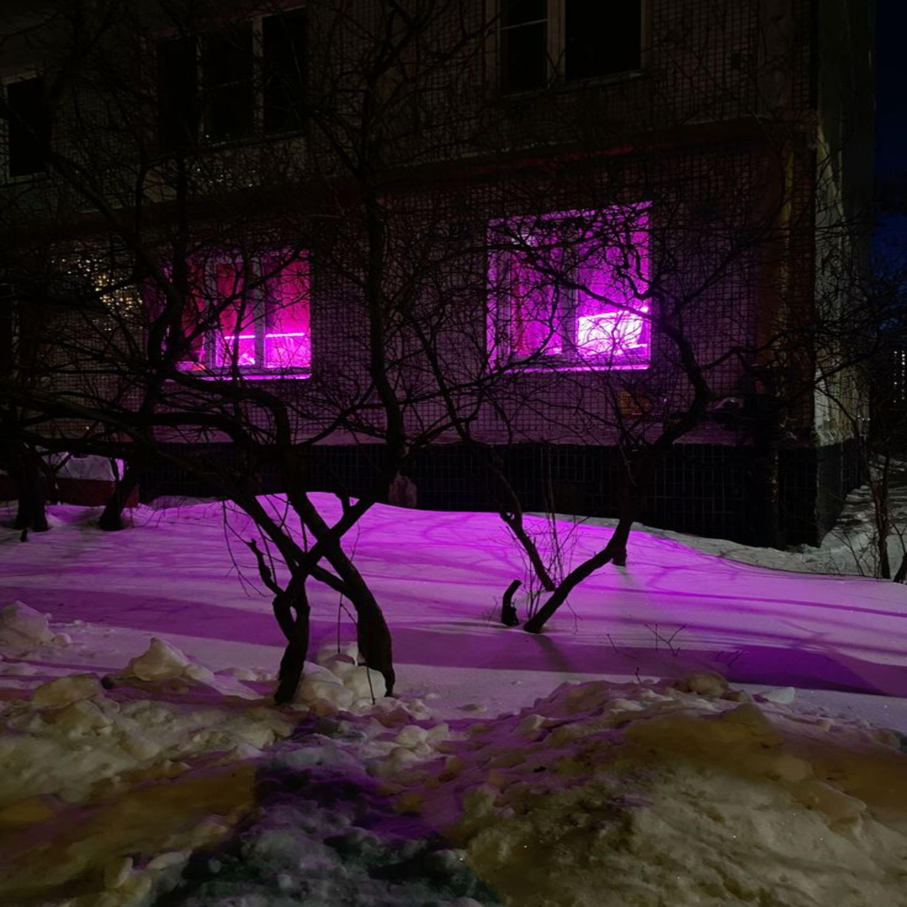 Mitya Lomov 67