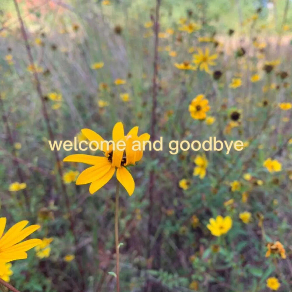 Релиз welcome and goodbye