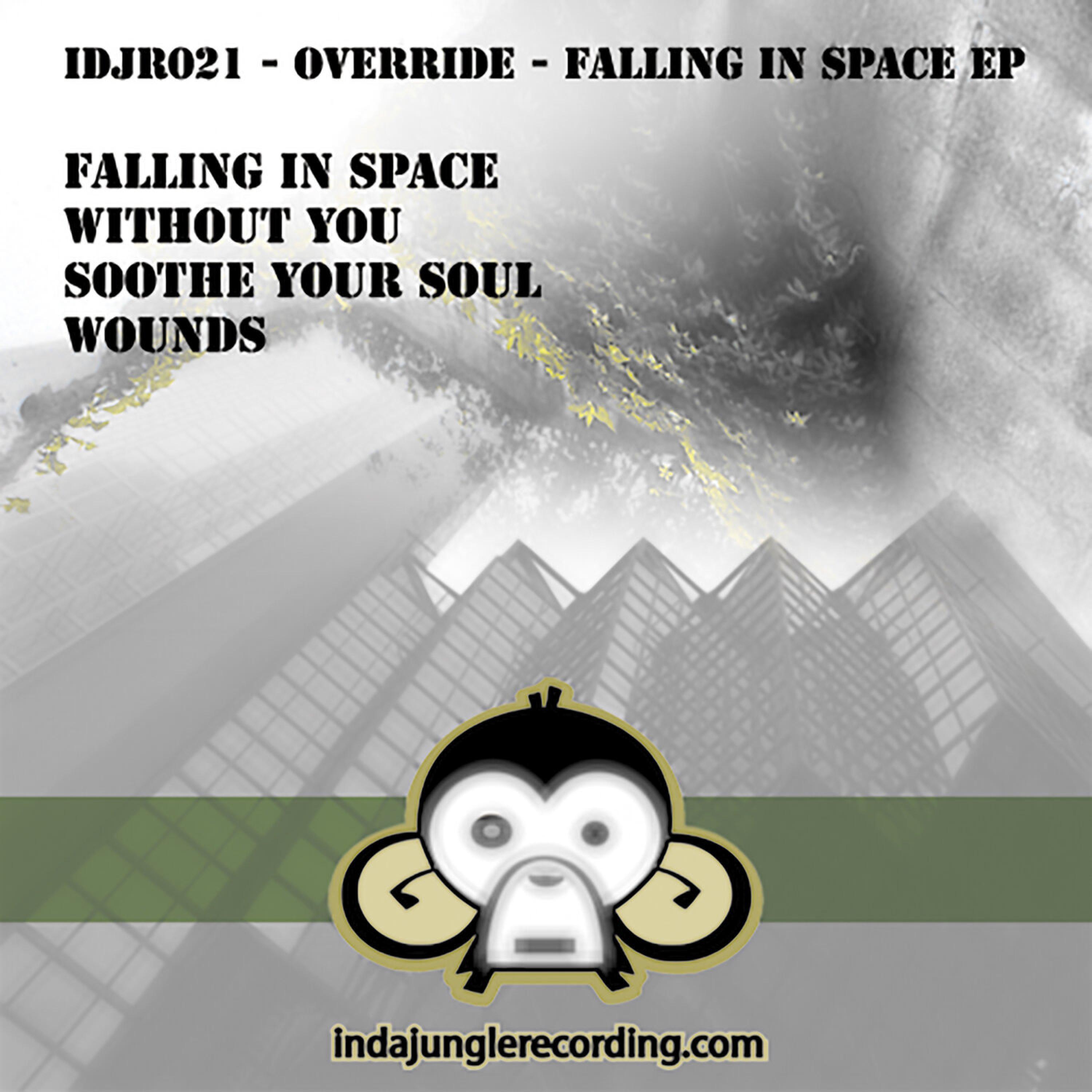 Релиз Falling In Space