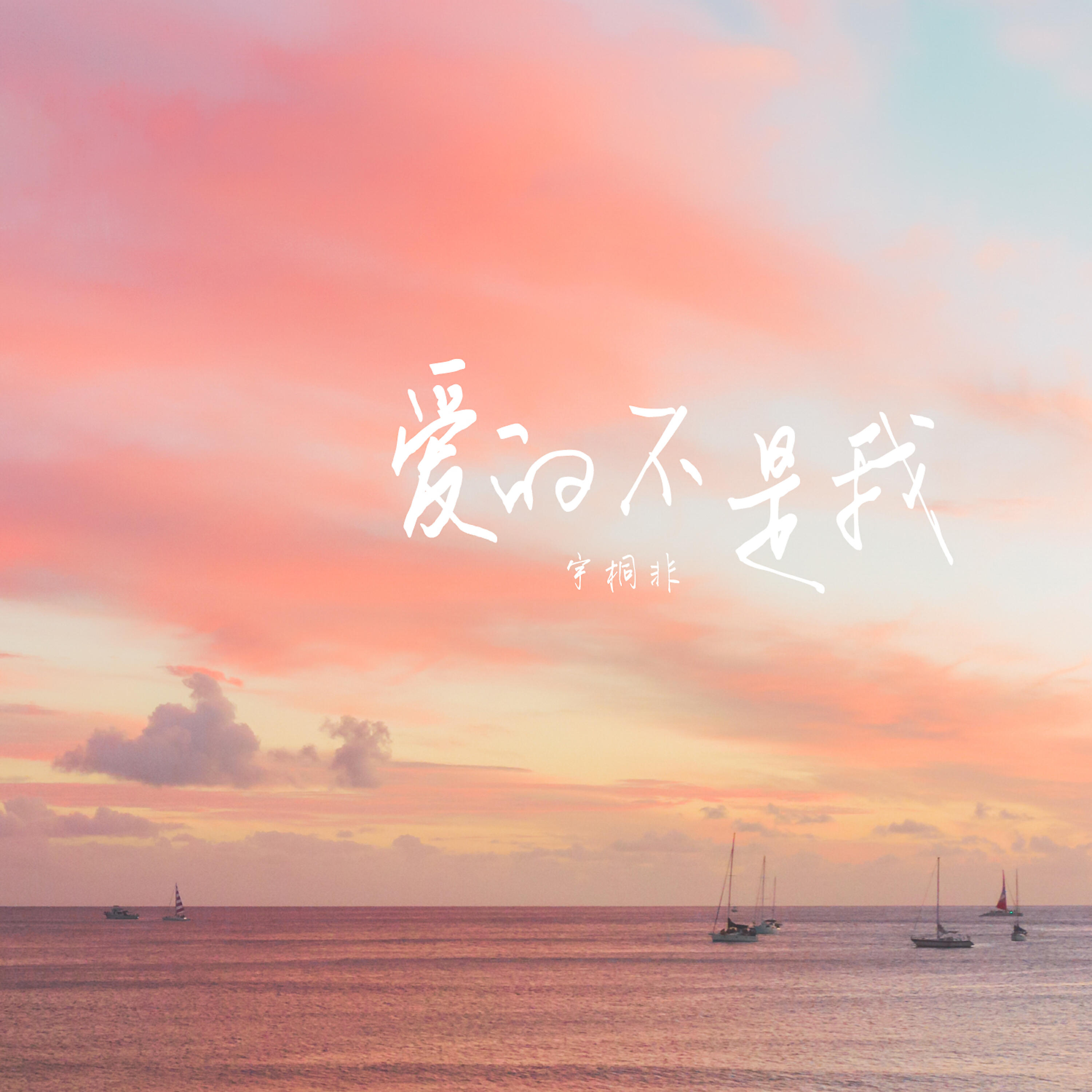Релиз 愛的不是我
