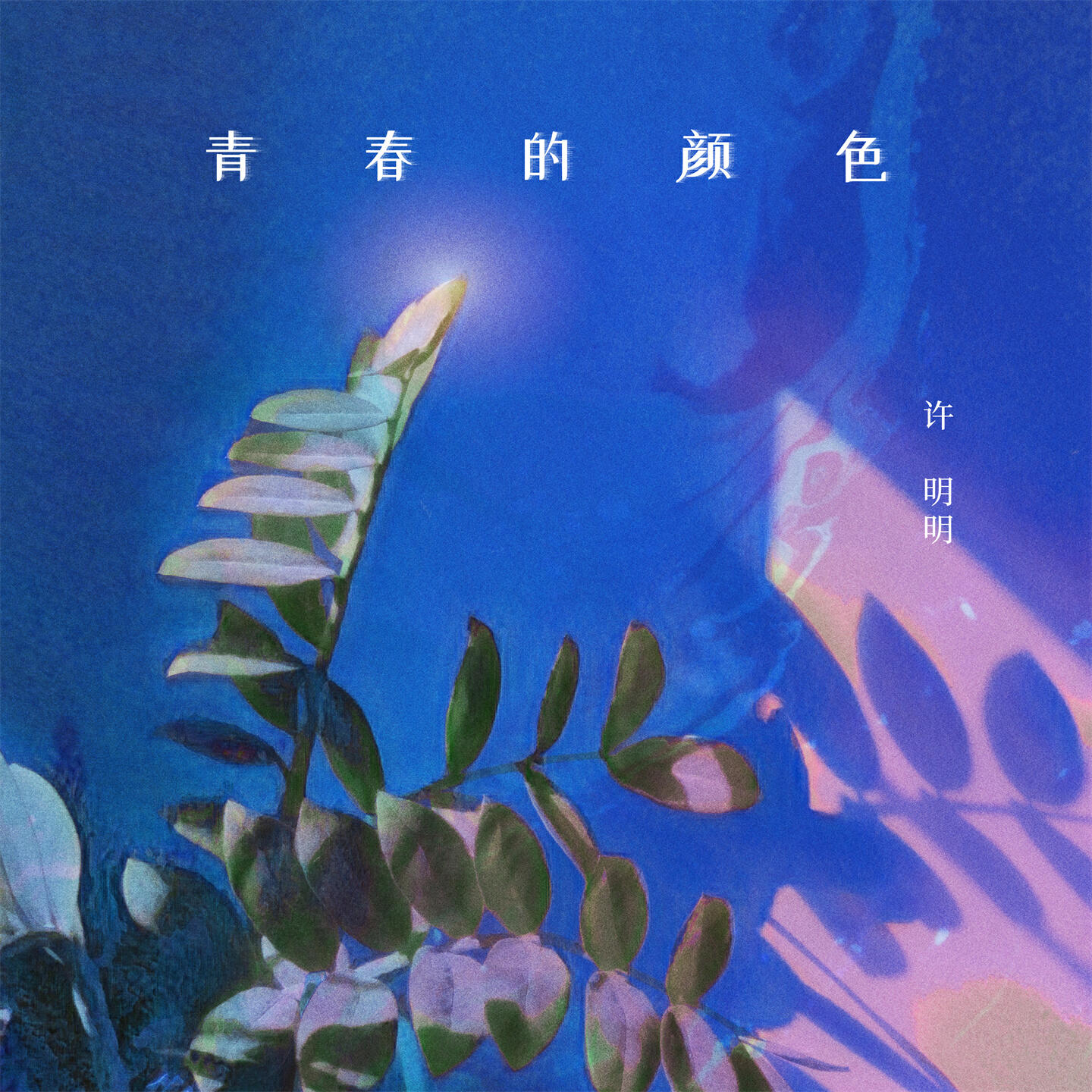 Релиз 青春的颜色