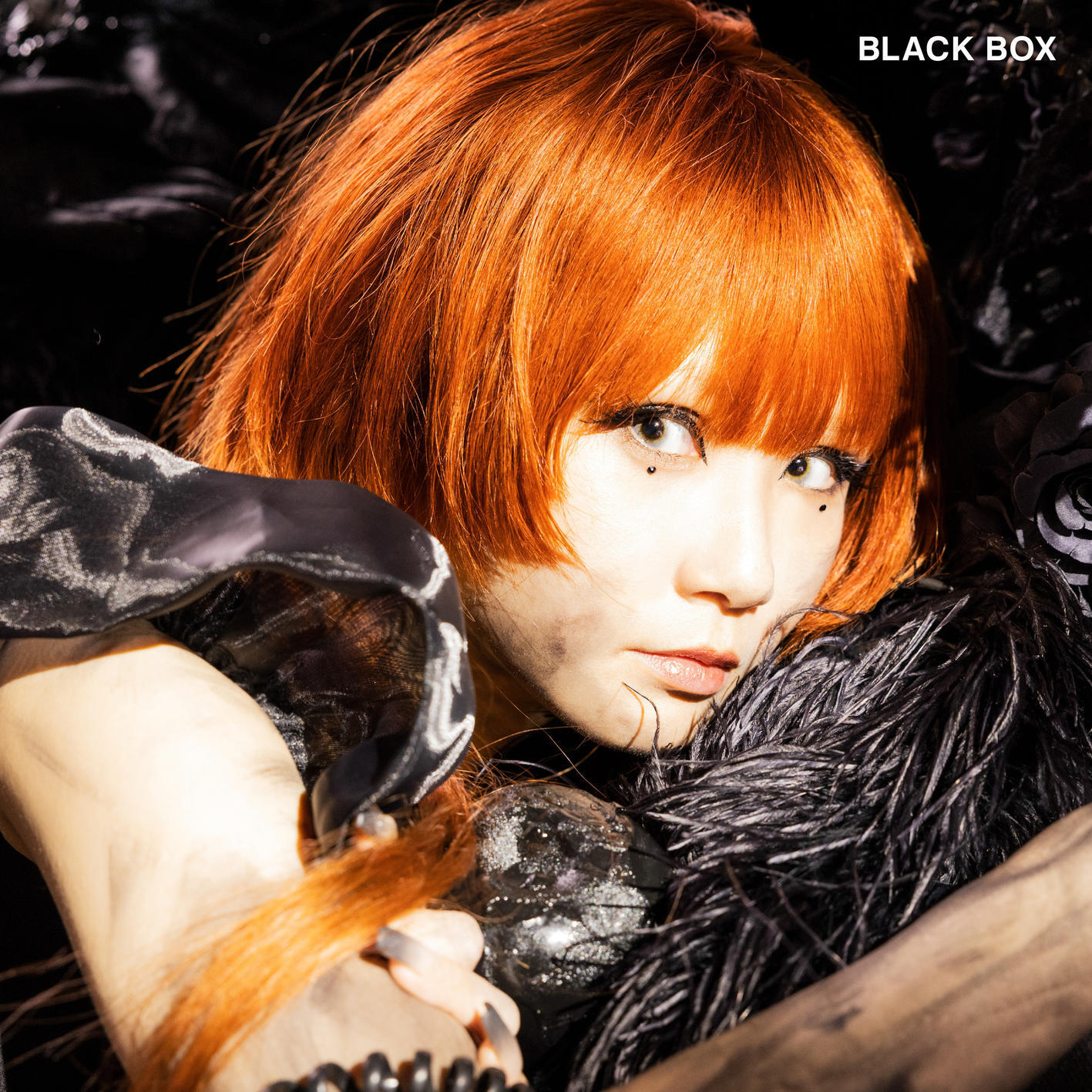 Релиз BLACK BOX