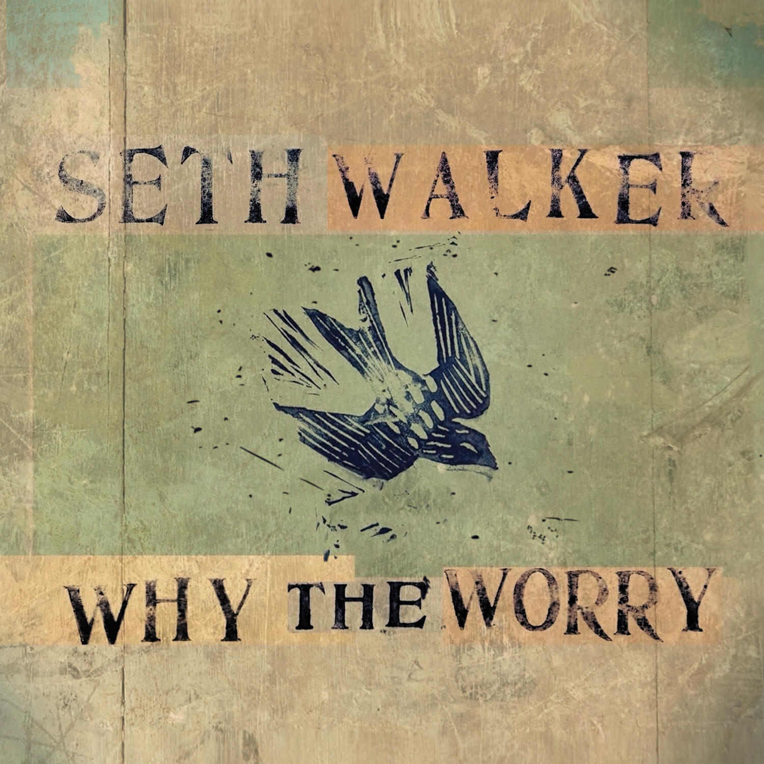 Релиз Why The Worry