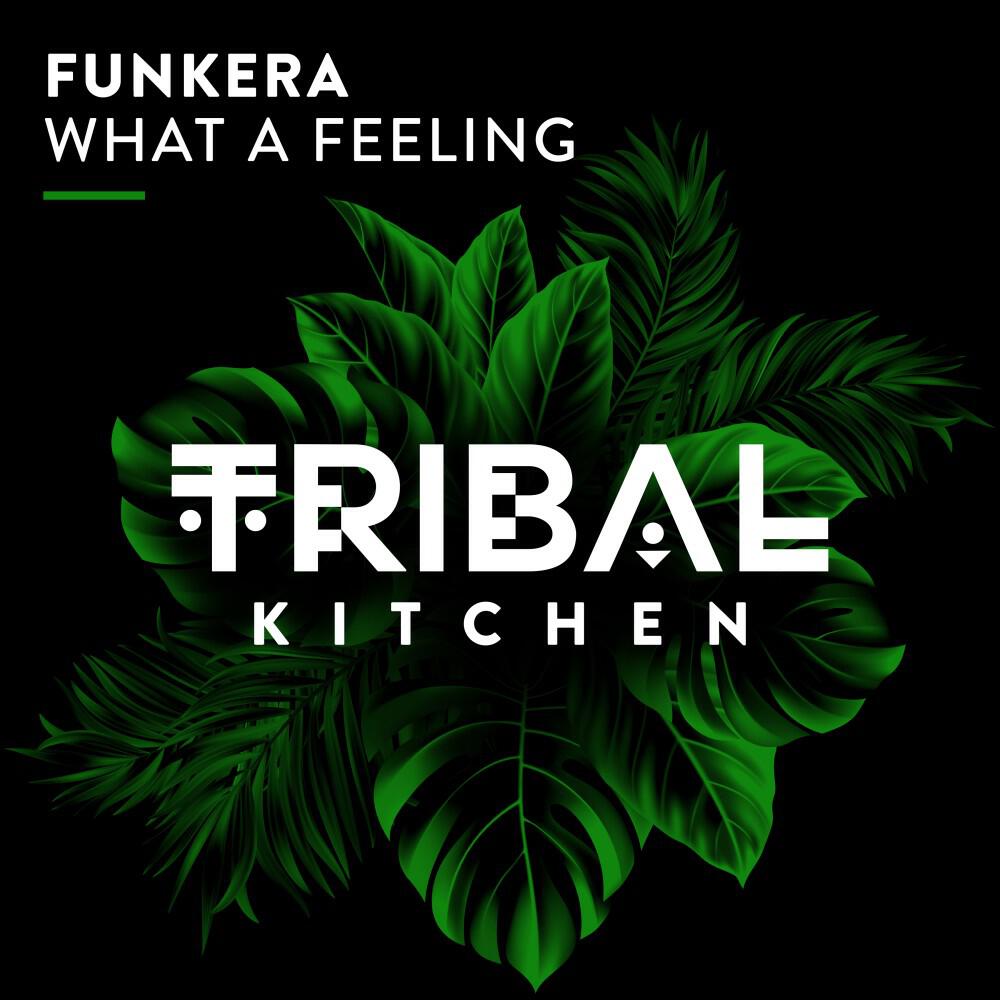 Релиз What a Feeling