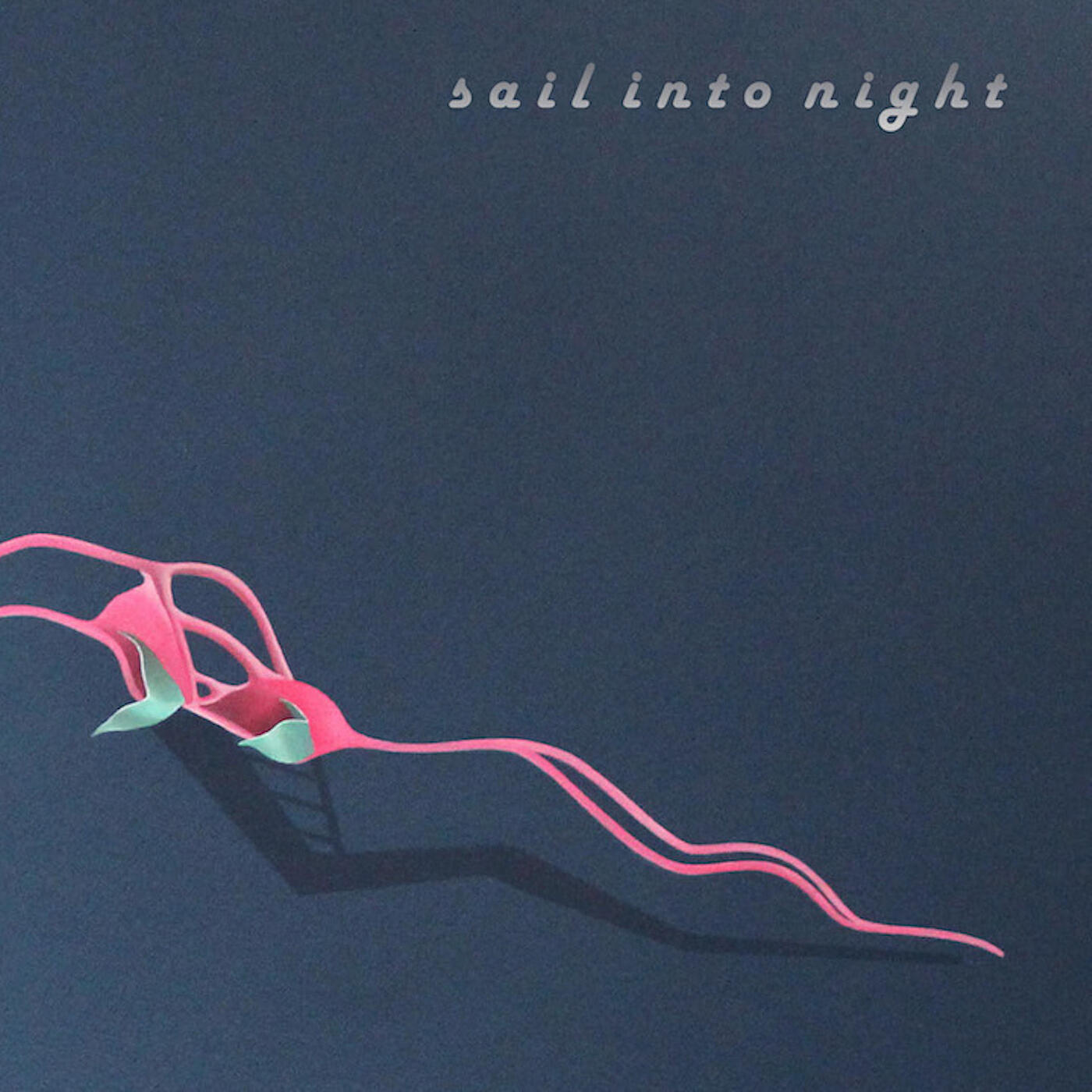 Sail Into Night
