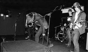 Expendable Youth