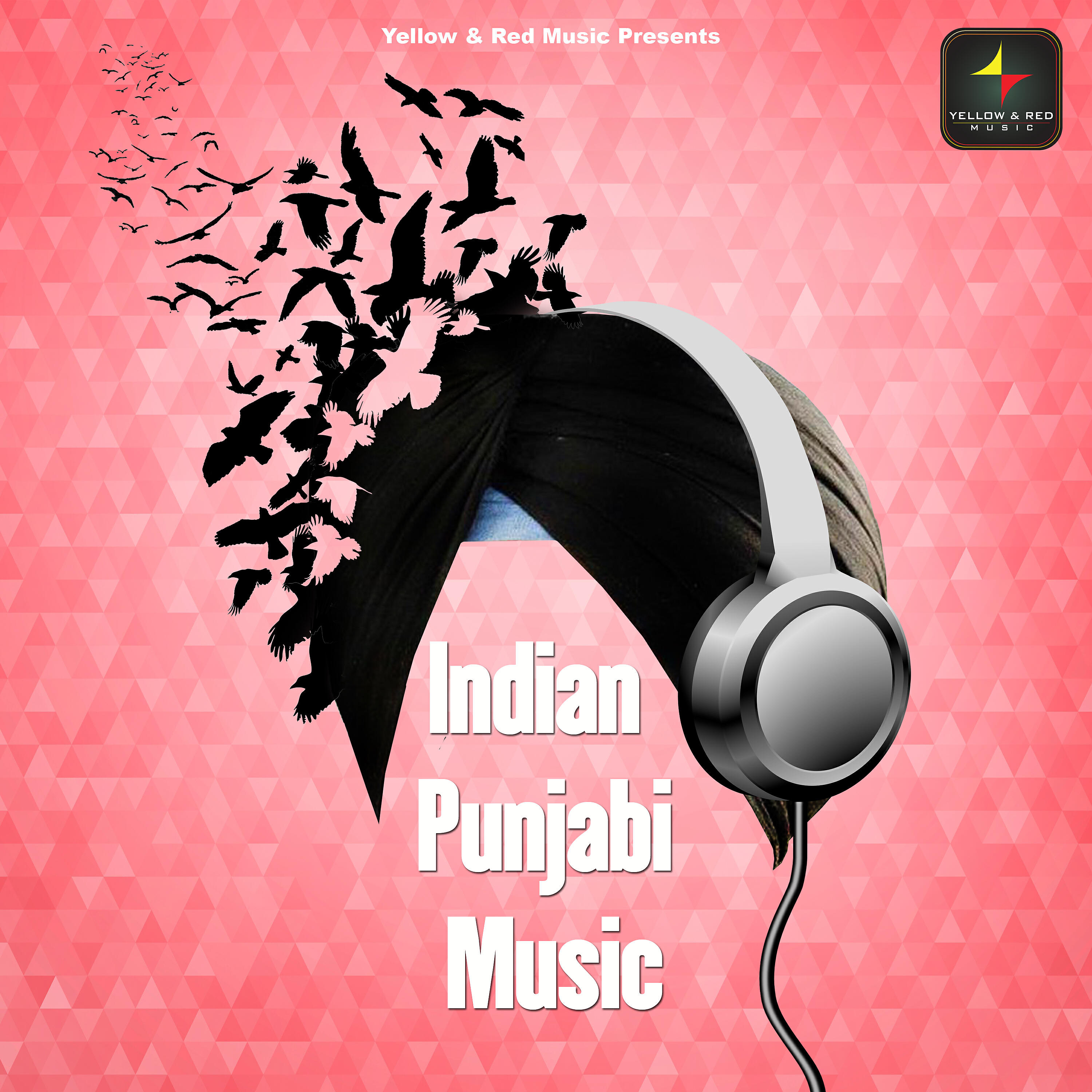 Релиз Indian Punjabi Music