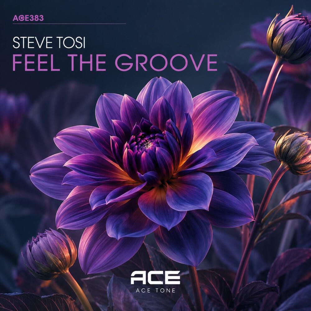 Релиз Feel the Groove