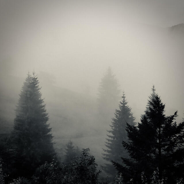 Релиз Rasti bore