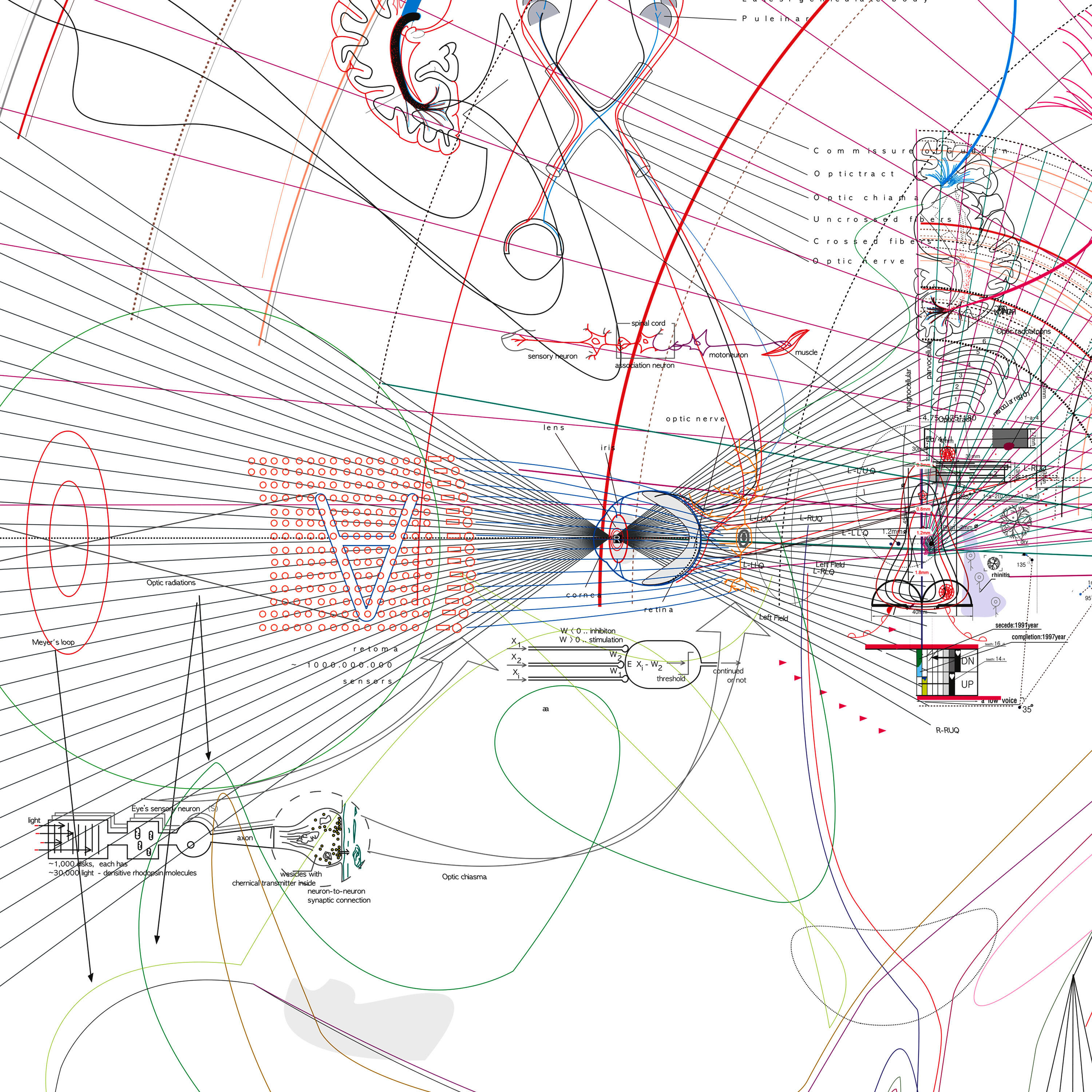 Релиз The Sun In A Box