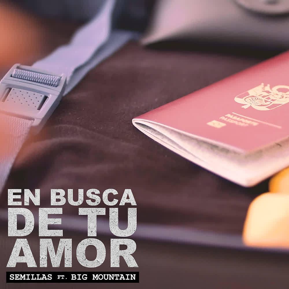 Релиз En Busca de Tu Amor