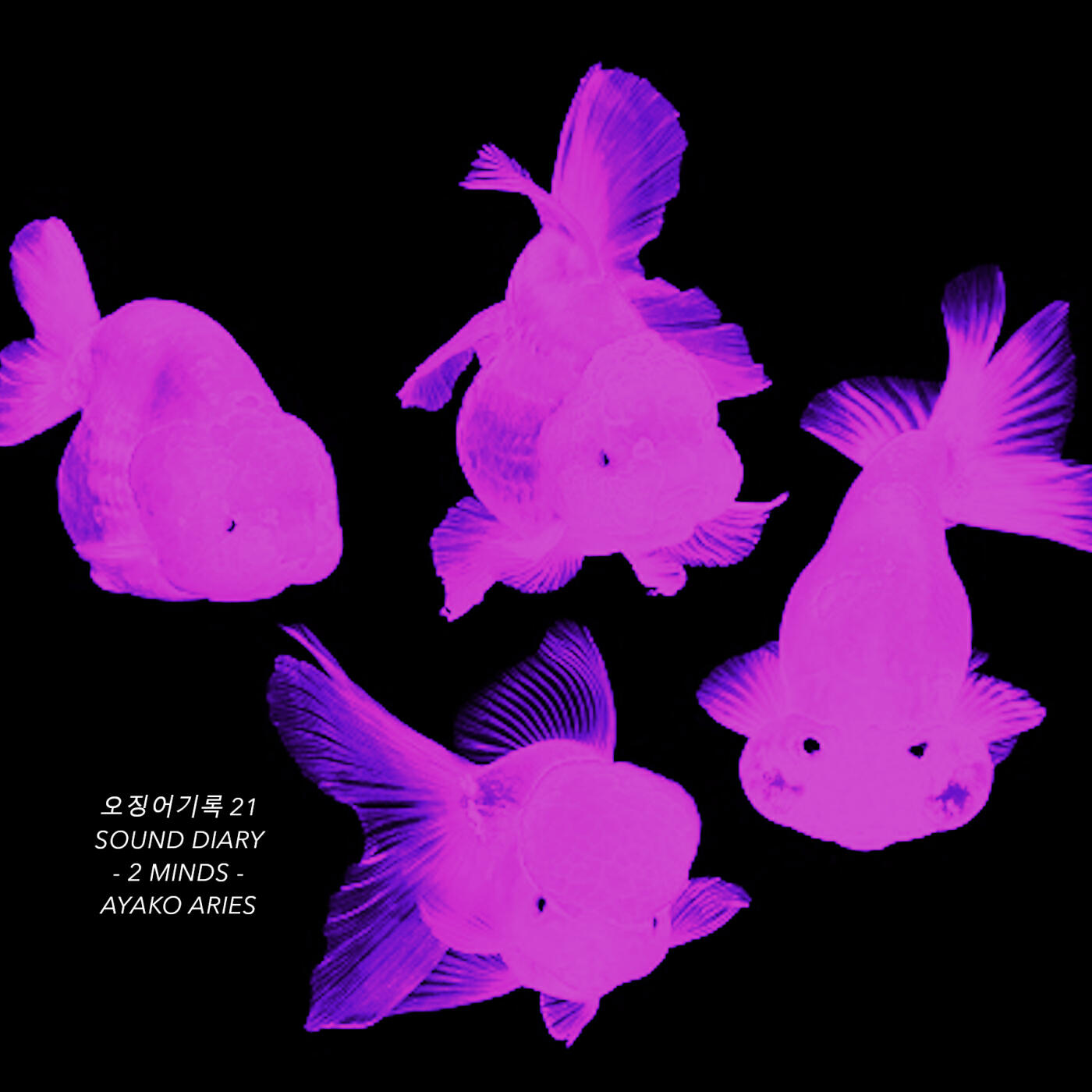 Релиз Sound Diary - 2 Minds -