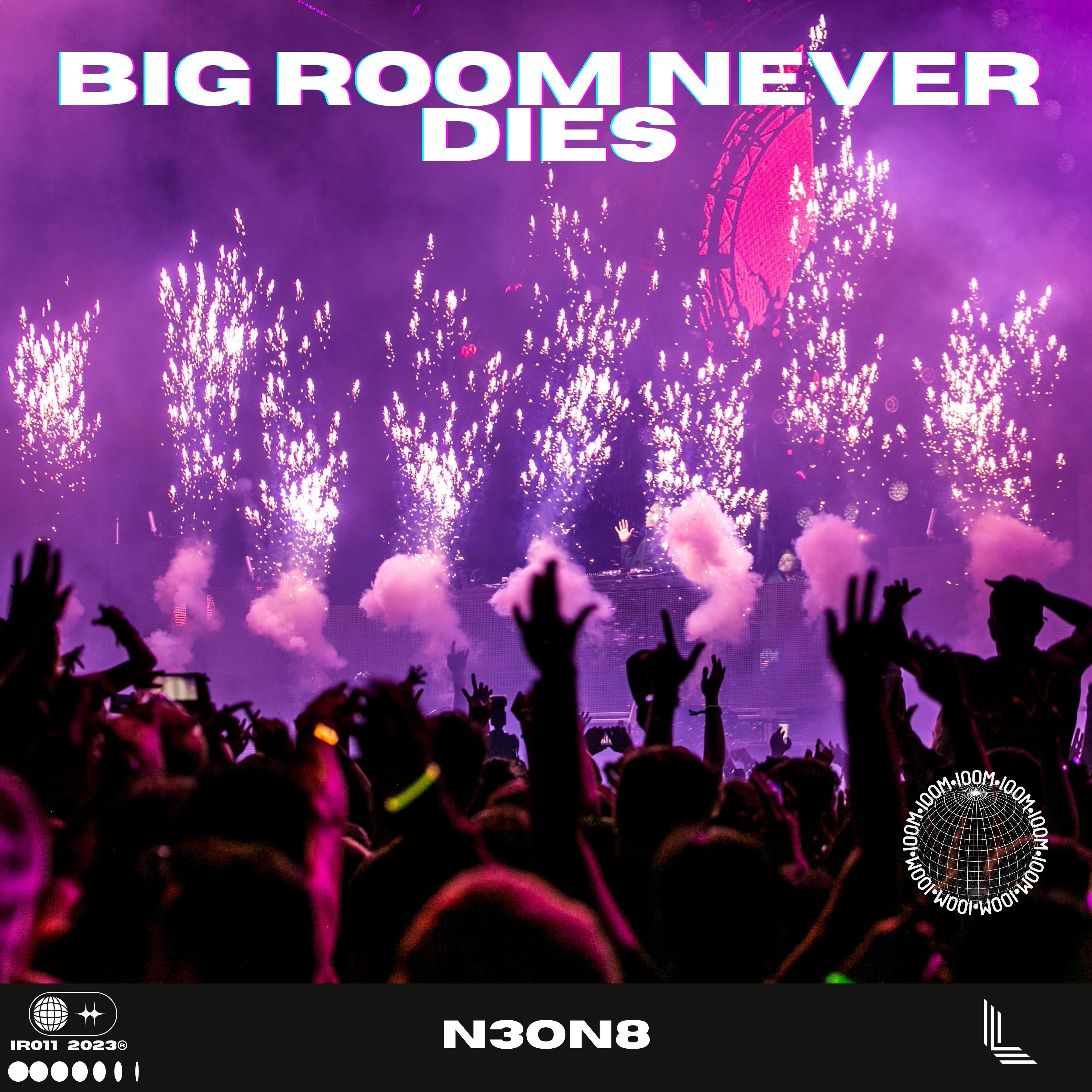 Релиз Big Room Never Dies