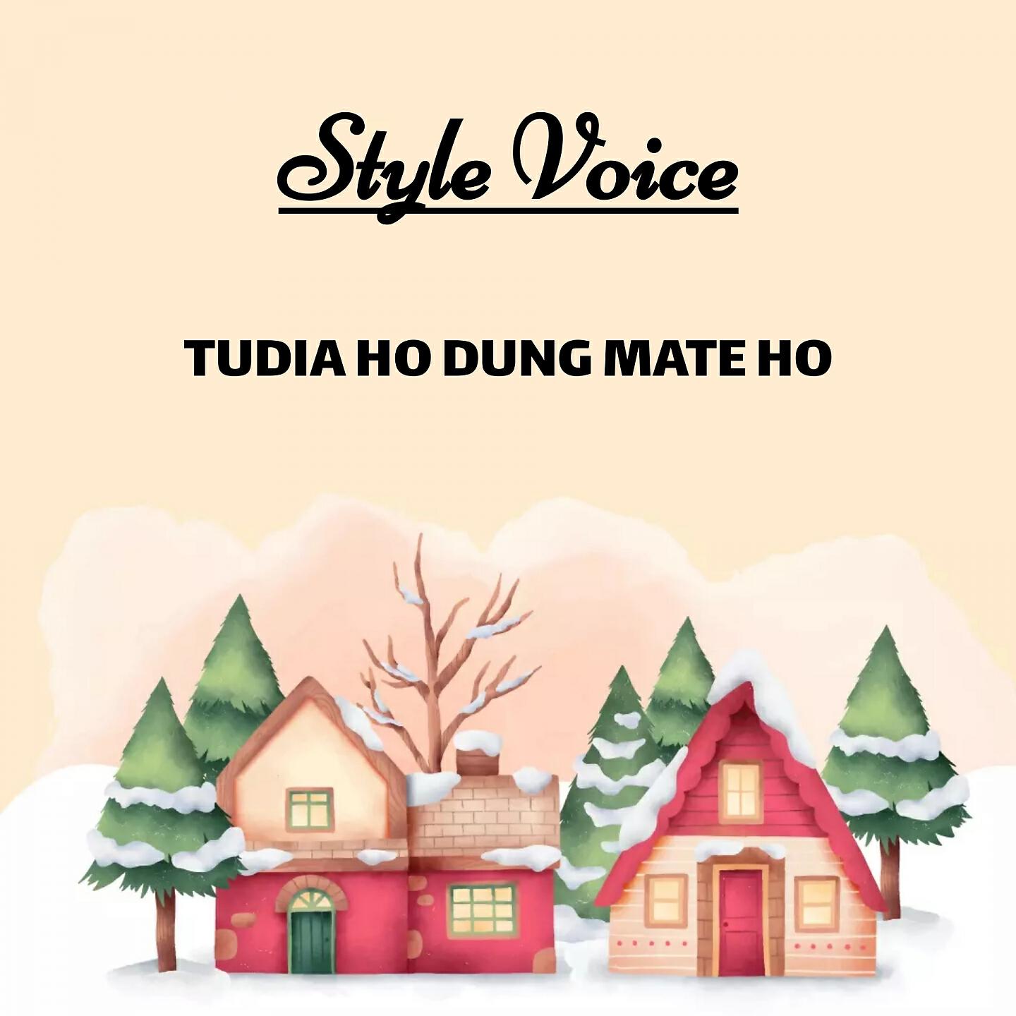 Релиз TUDIA HO DUNG MATE HO