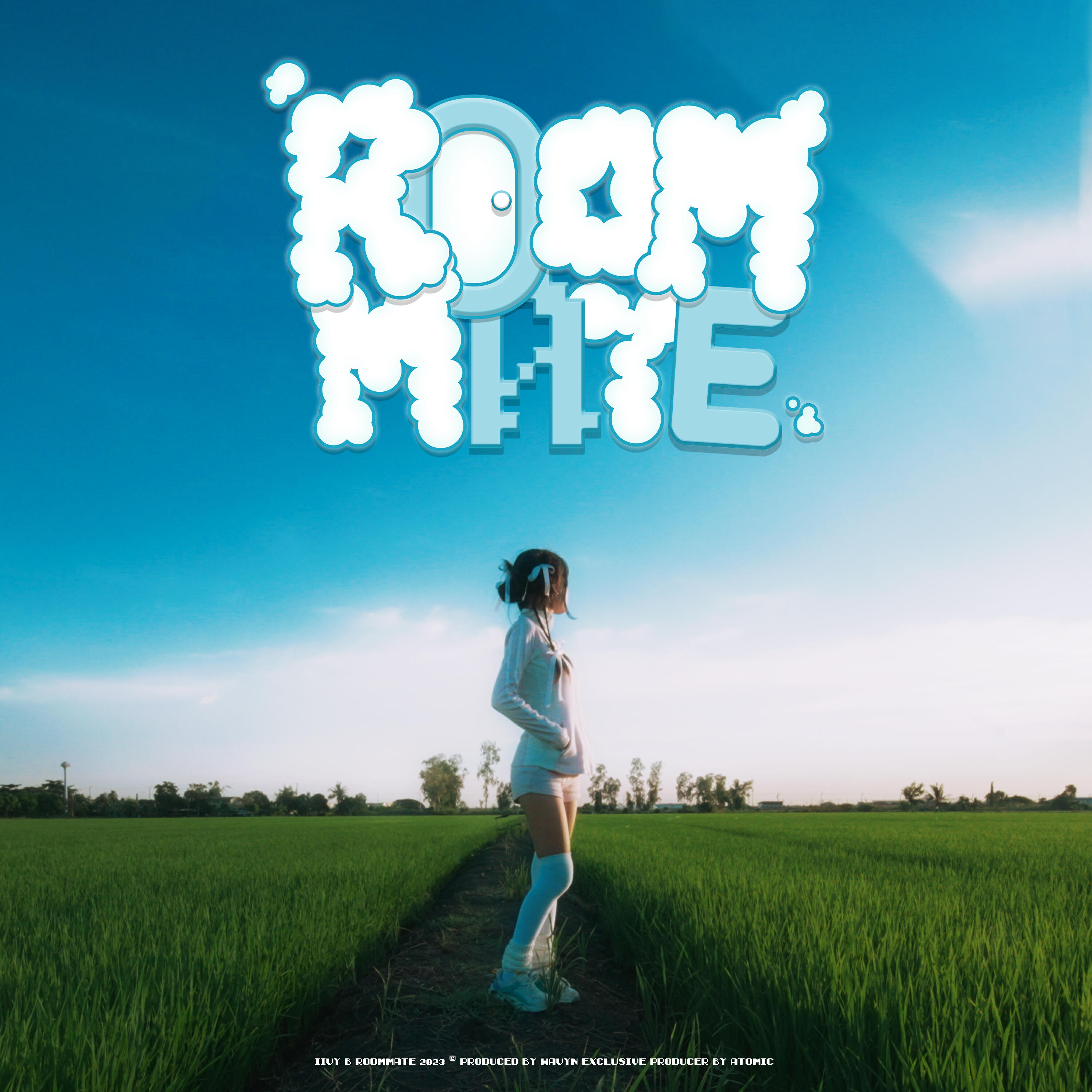Релиз ROOMMATE