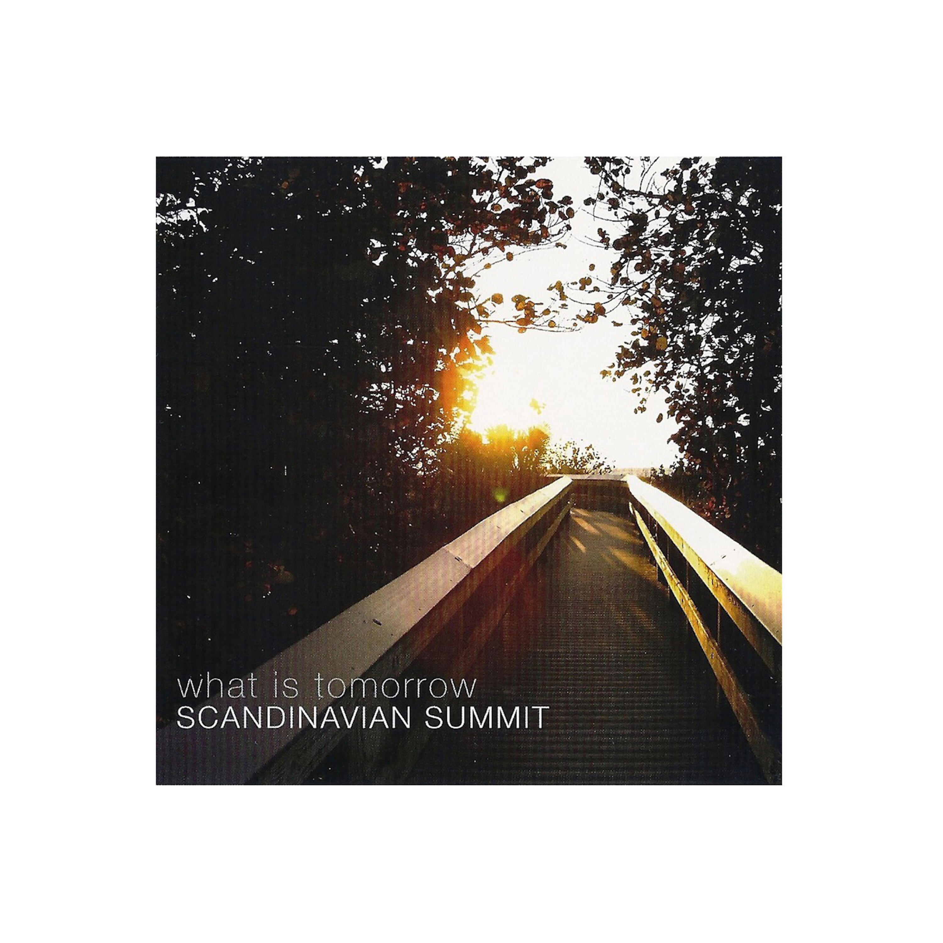 Scandinavian Summit