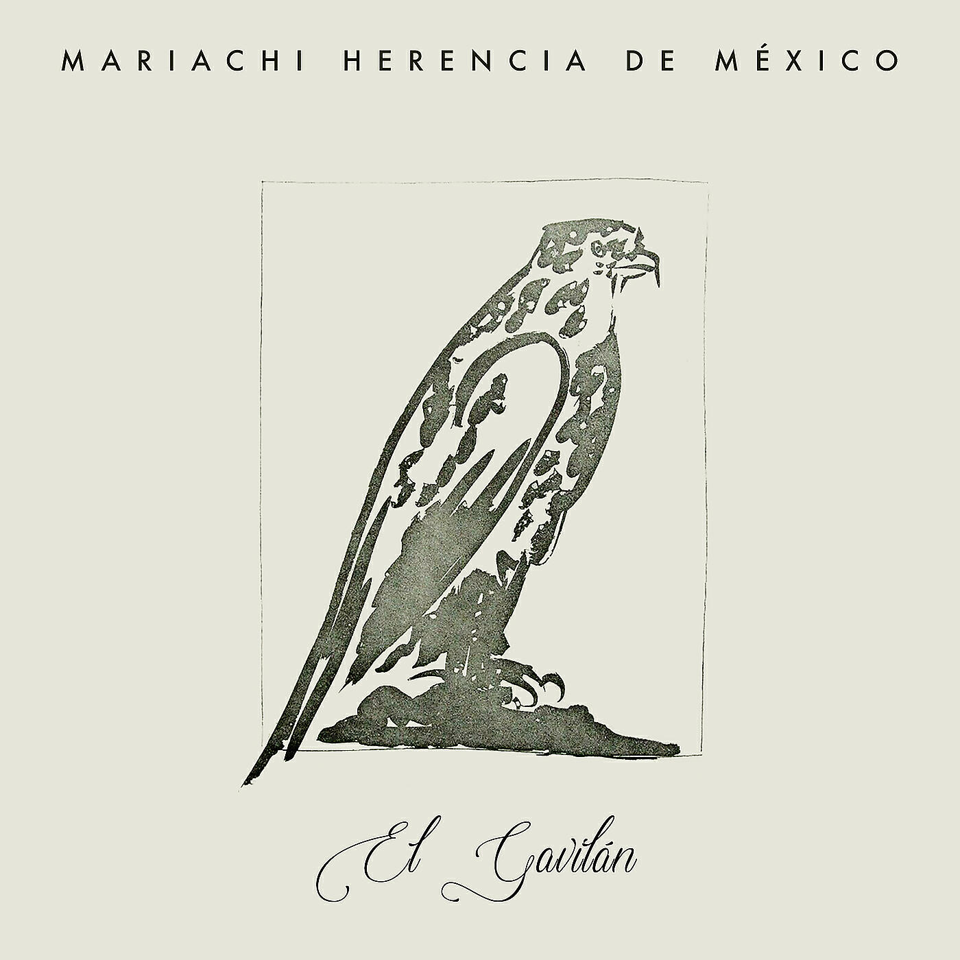 Релиз El Gavilán