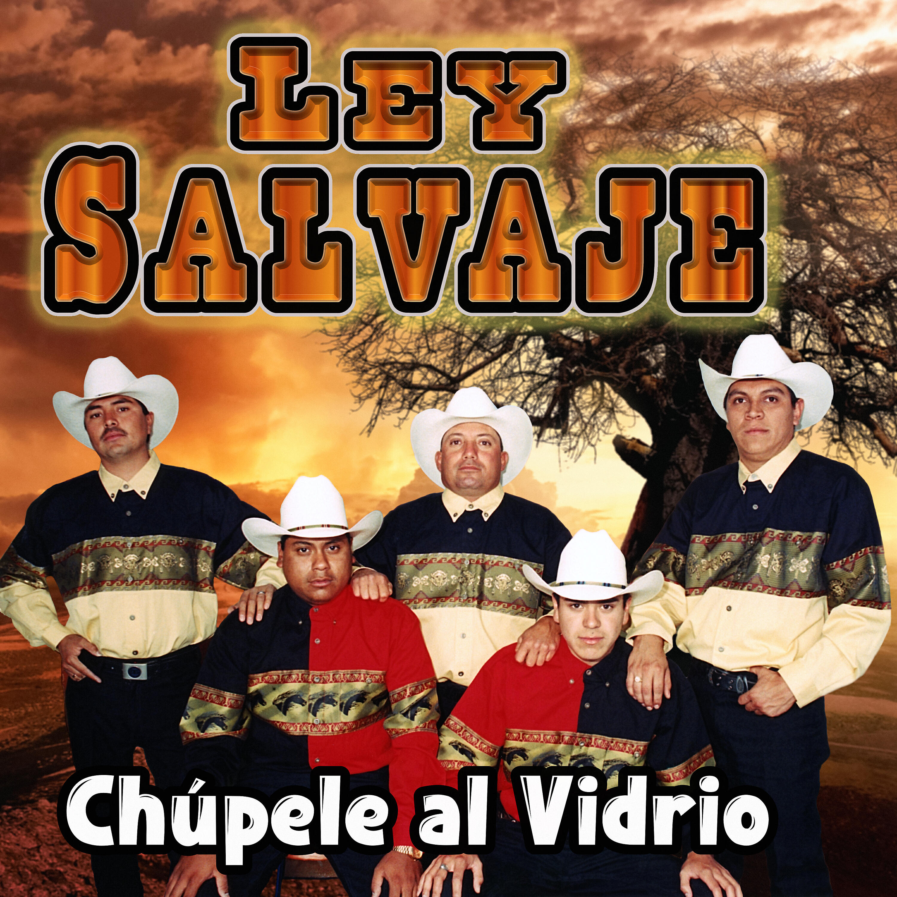 Ley Salvaje